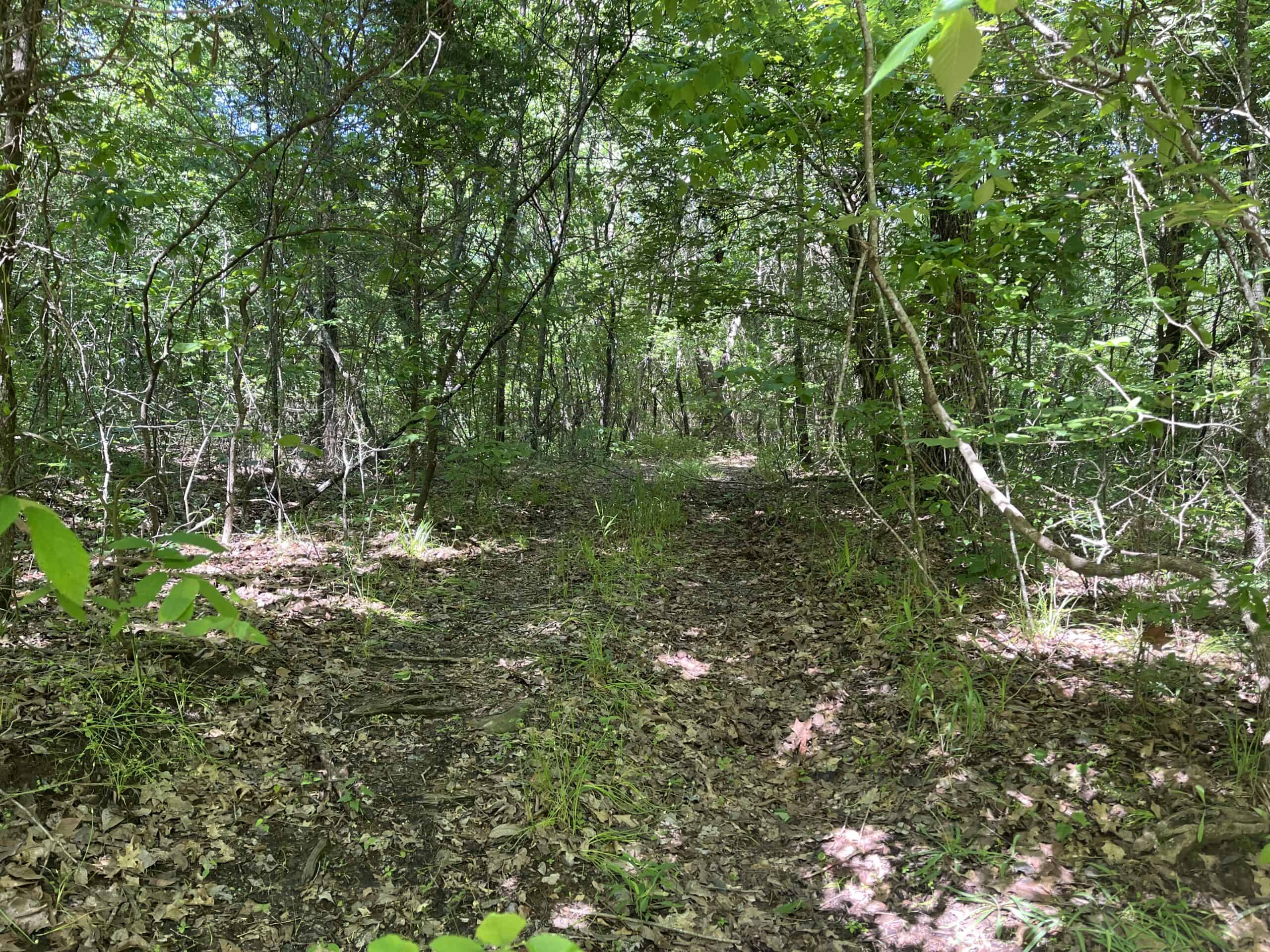 Off-Grid Mountain Getaway – 15+/- Acres in the Kiamichi Wilderness (Daisy Side)