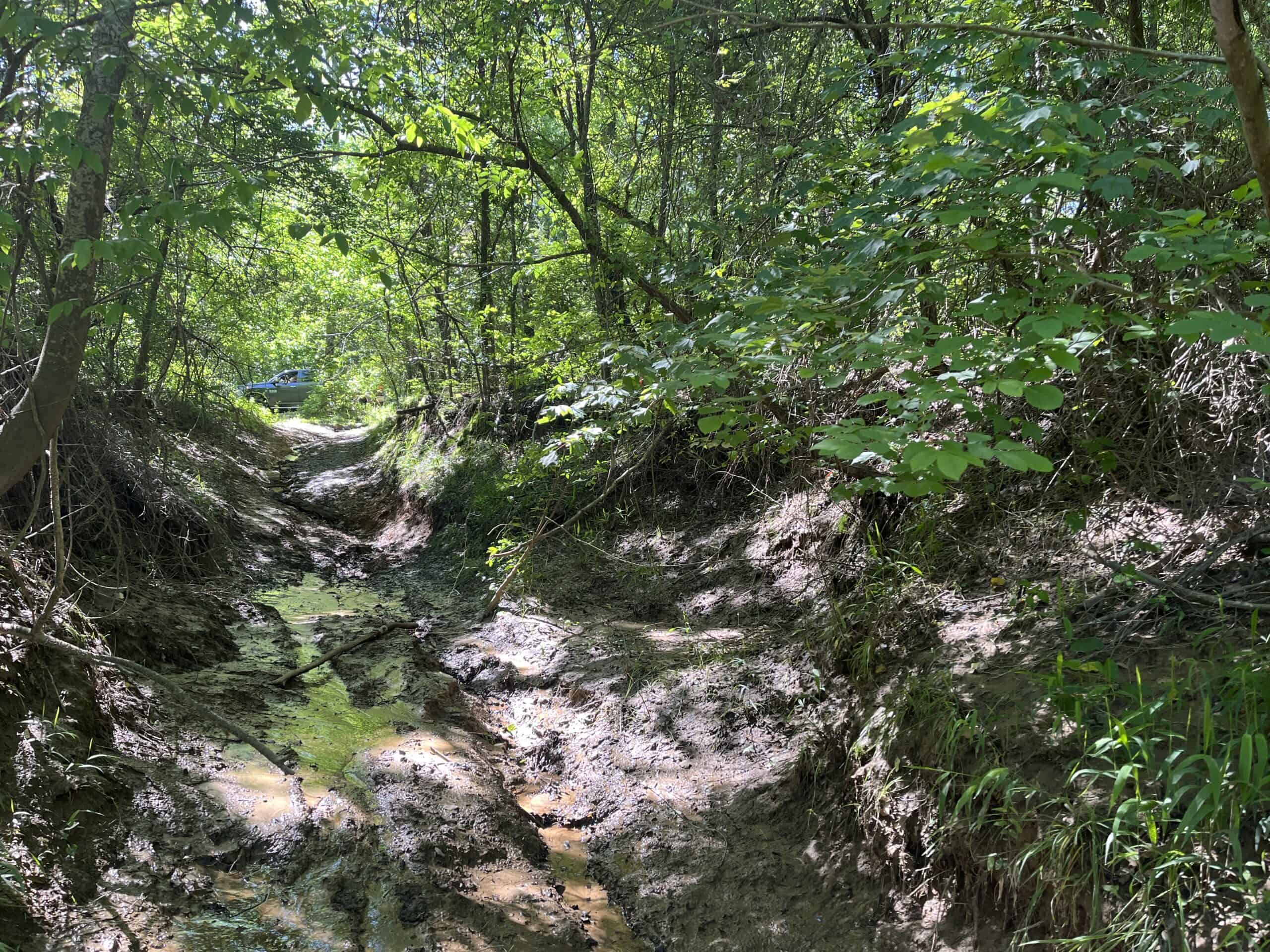 Off-Grid Mountain Getaway – 15+/- Acres in the Kiamichi Wilderness (Daisy Side)