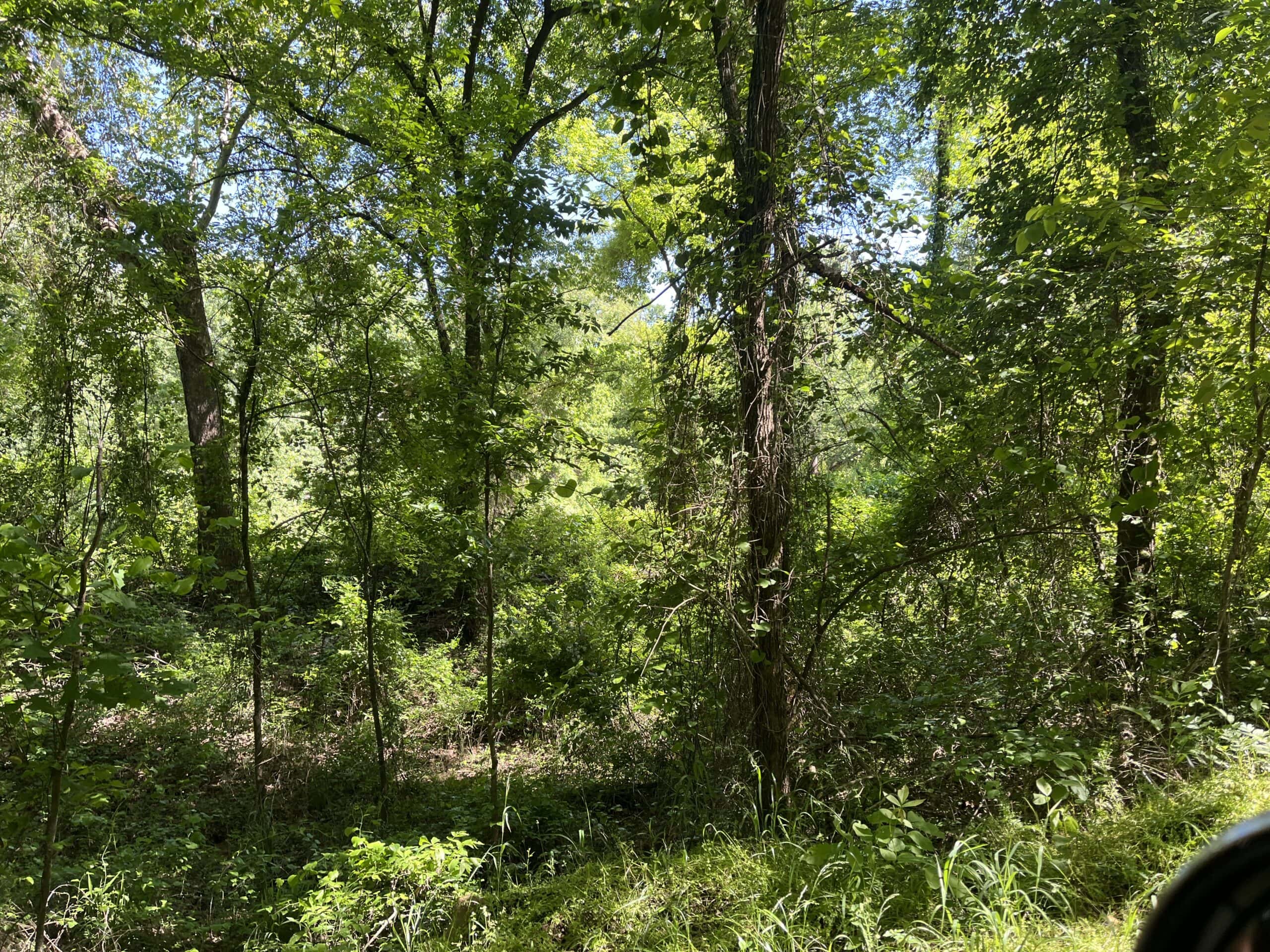 Off-Grid Mountain Getaway – 15+/- Acres in the Kiamichi Wilderness (Daisy Side)
