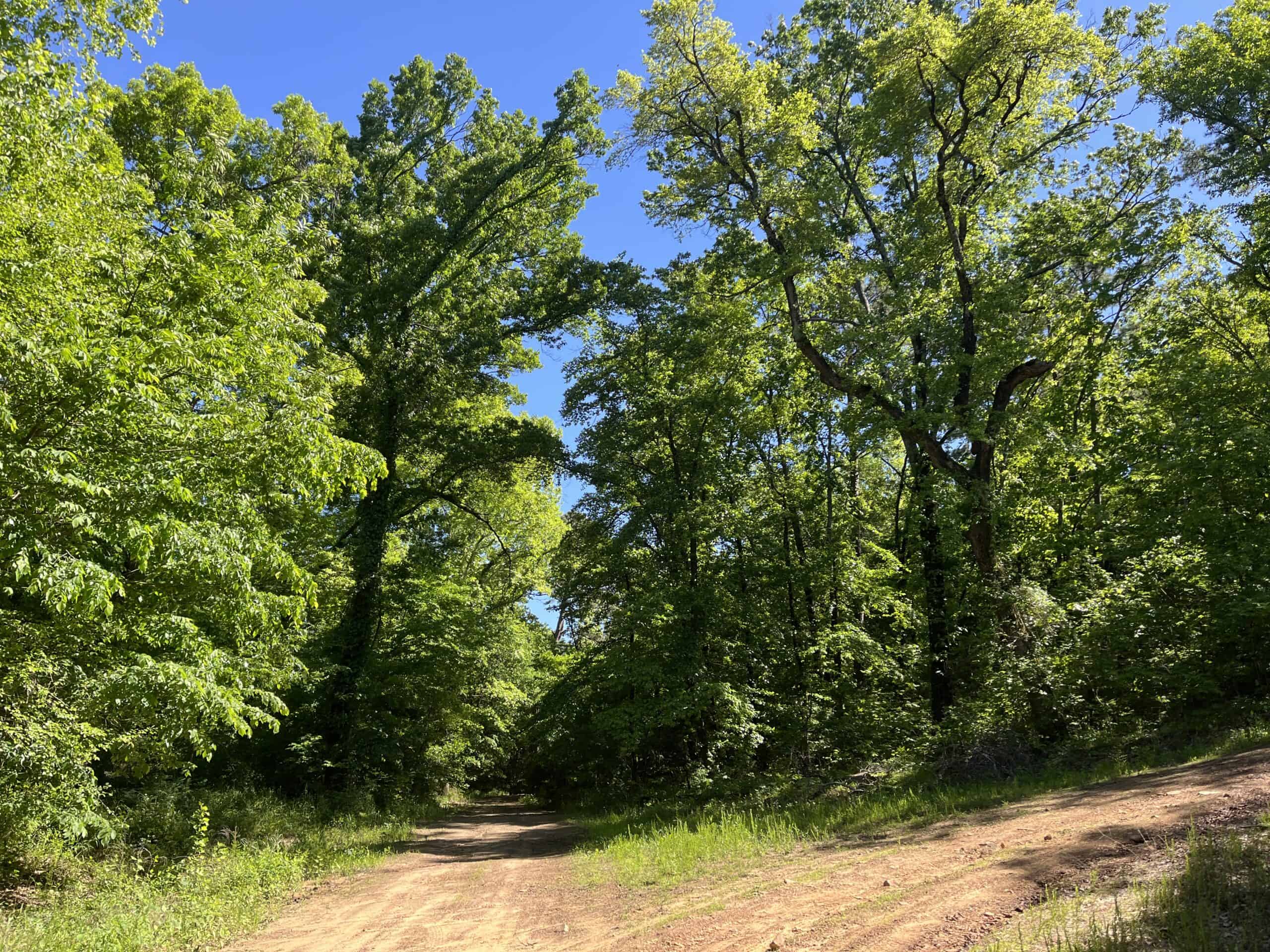 10 +/- Acres Off-Grid Retreat – Kiamichi Wilderness (Daisy Side)