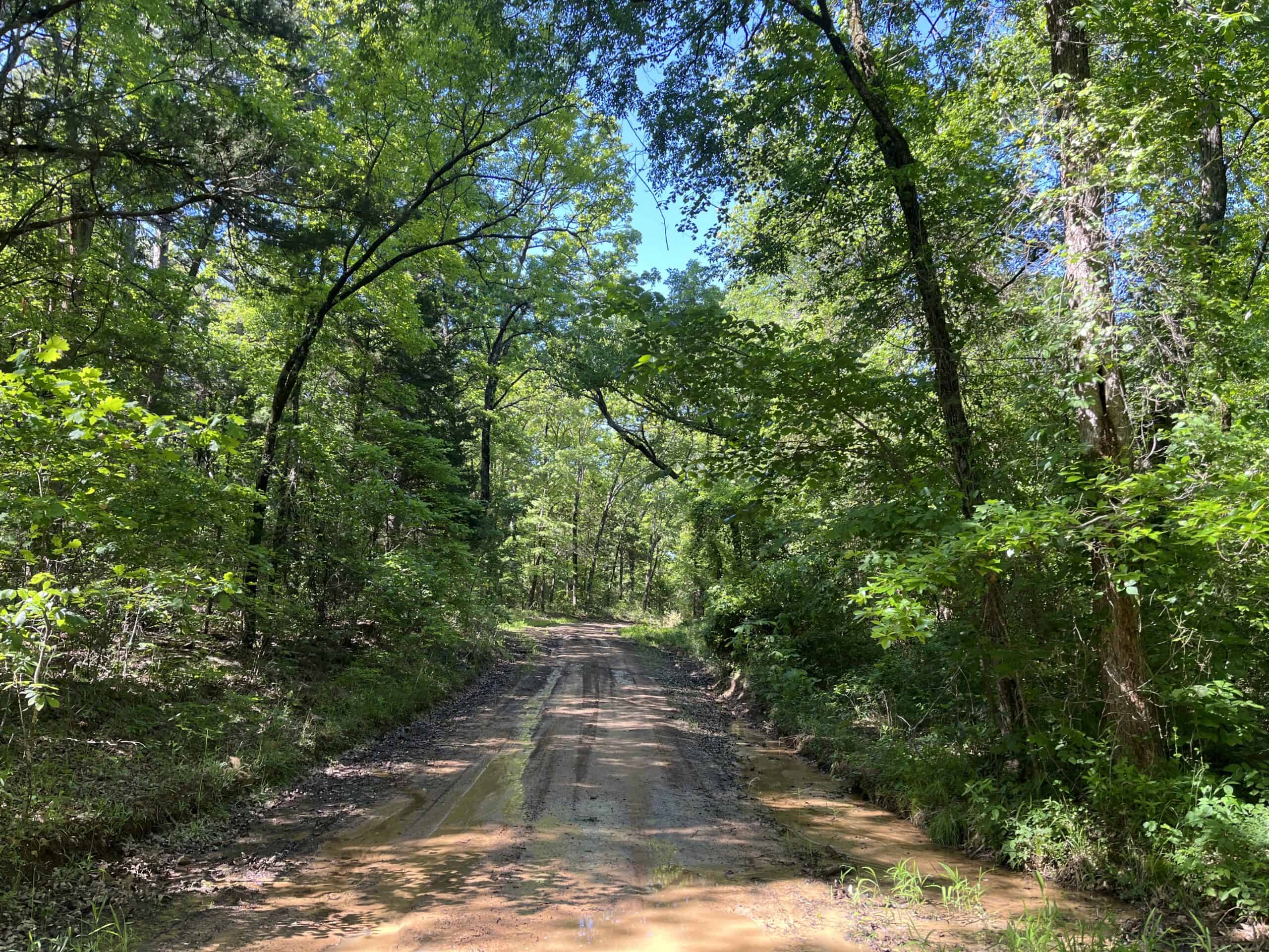 10 +/- Acres Off-Grid Retreat – Kiamichi Wilderness (Daisy Side)