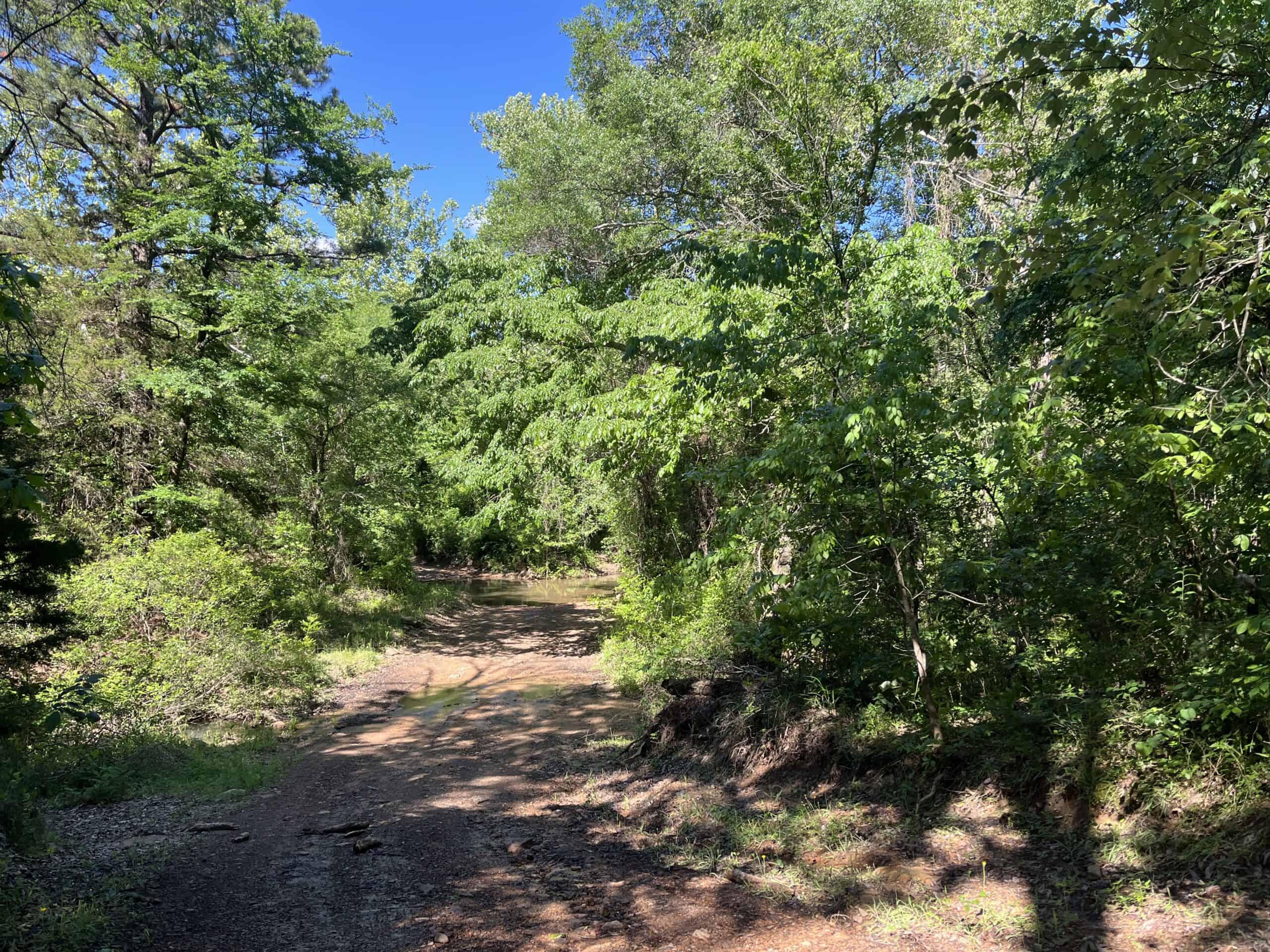 Off-Grid Mountain Getaway – 15+/- Acres in the Kiamichi Wilderness (Daisy Side)