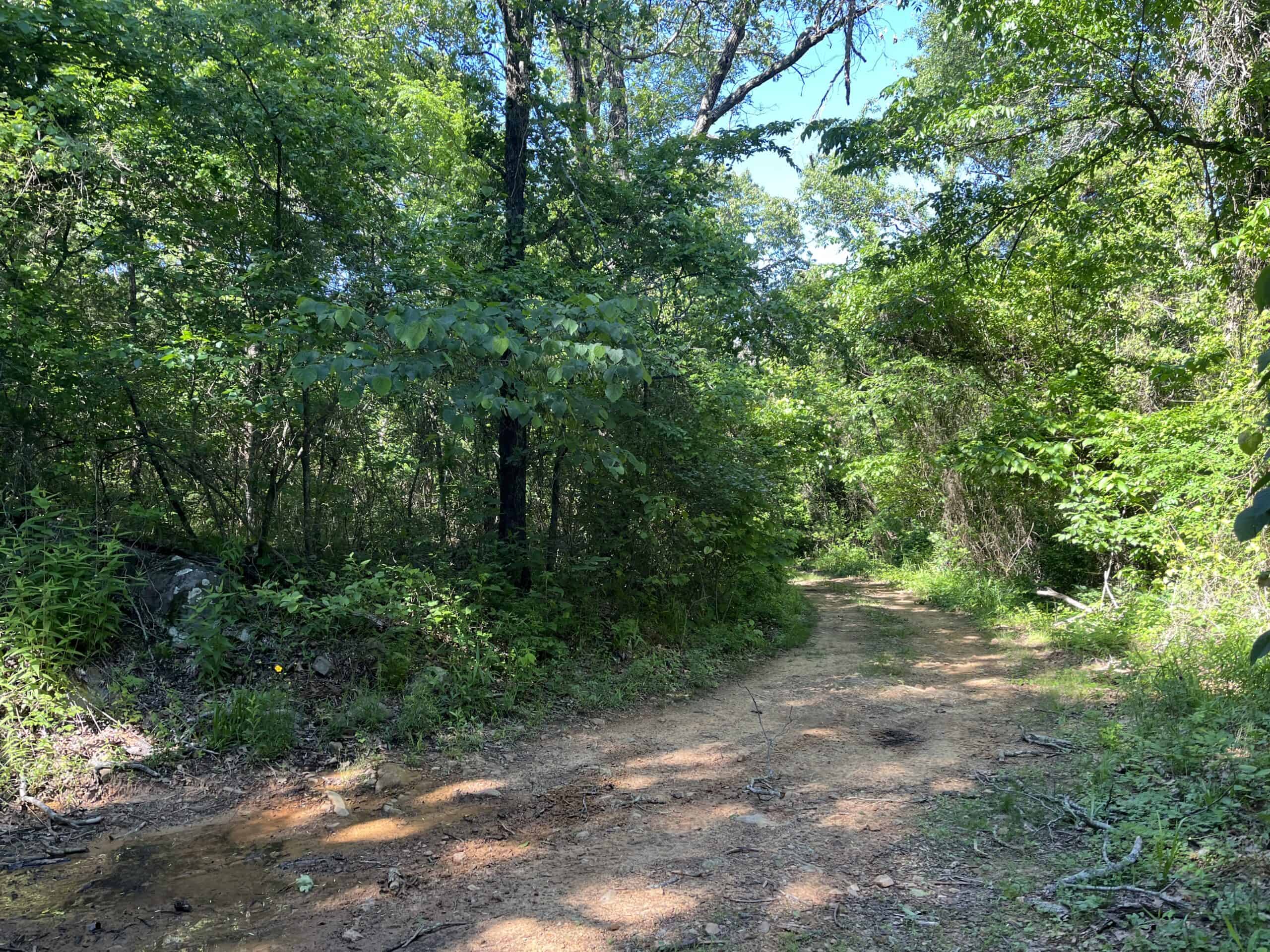 Off-Grid Mountain Getaway – 15+/- Acres in the Kiamichi Wilderness (Daisy Side)
