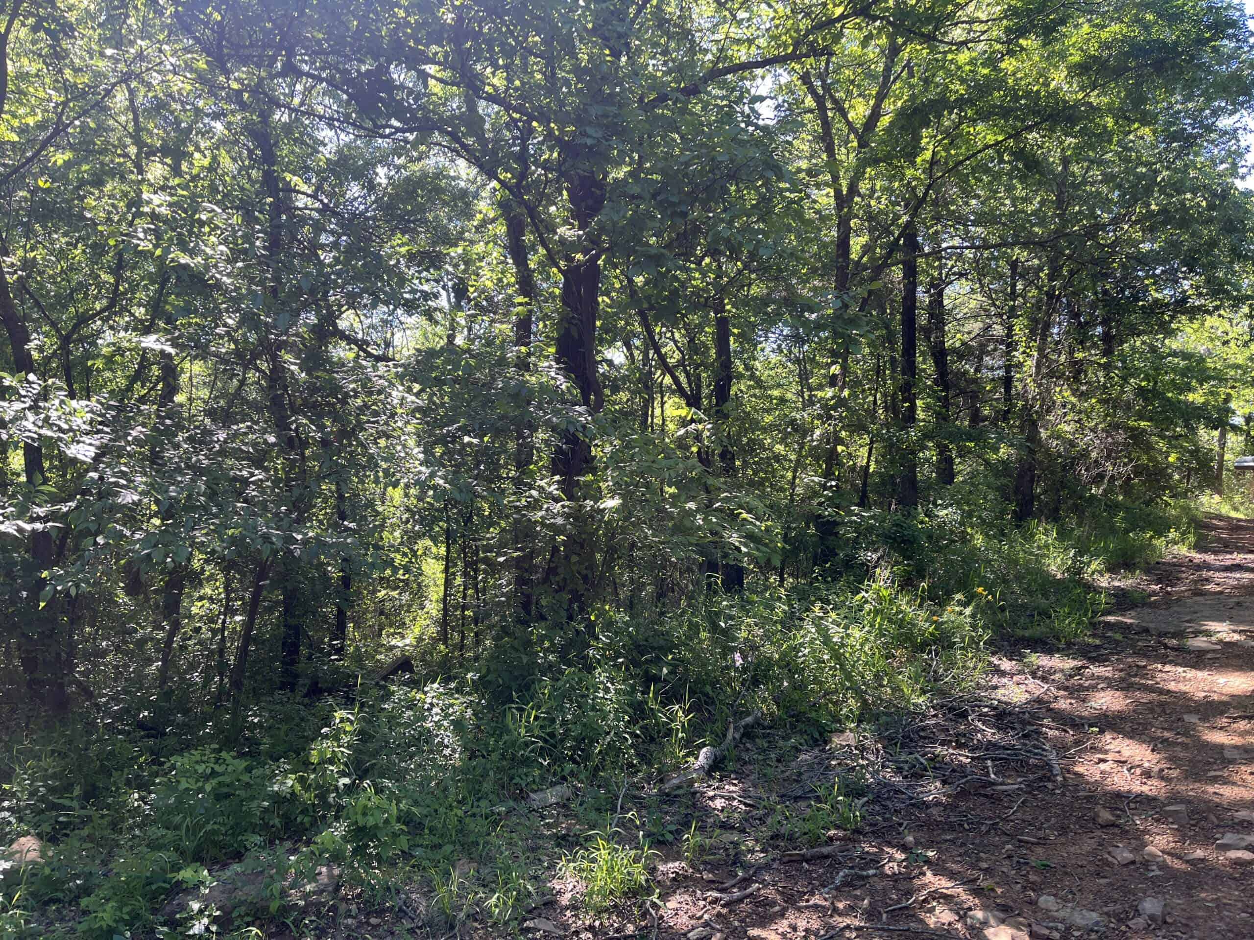 Off-Grid Mountain Getaway – 15+/- Acres in the Kiamichi Wilderness (Daisy Side)
