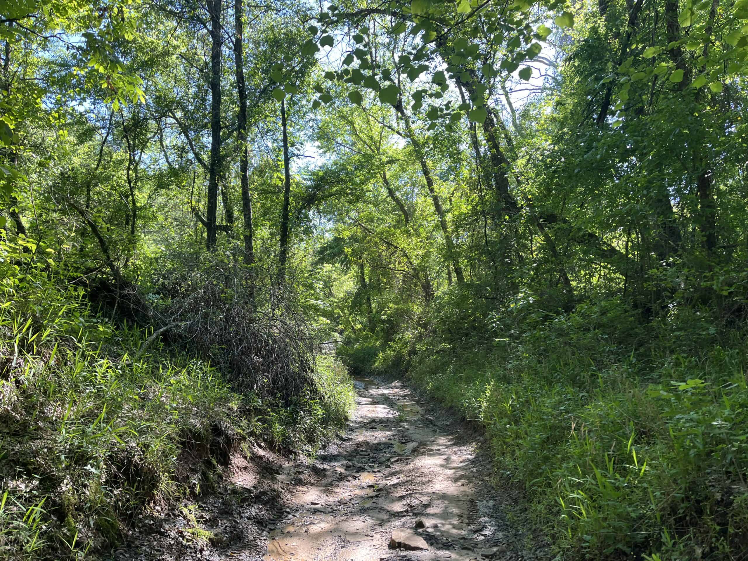 Off-Grid Mountain Getaway – 15+/- Acres in the Kiamichi Wilderness (Daisy Side)