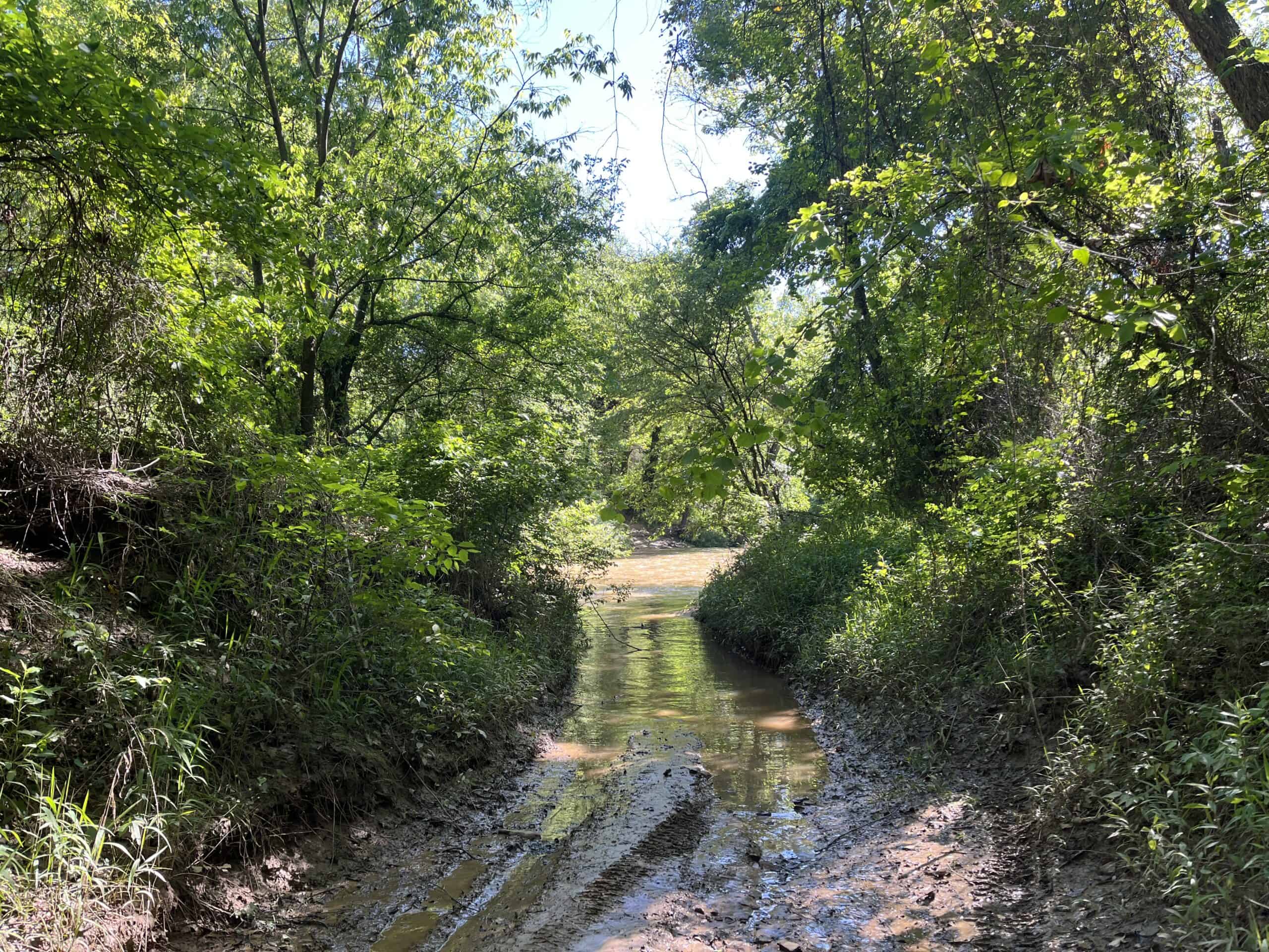 Off-Grid Mountain Getaway – 15+/- Acres in the Kiamichi Wilderness (Daisy Side)