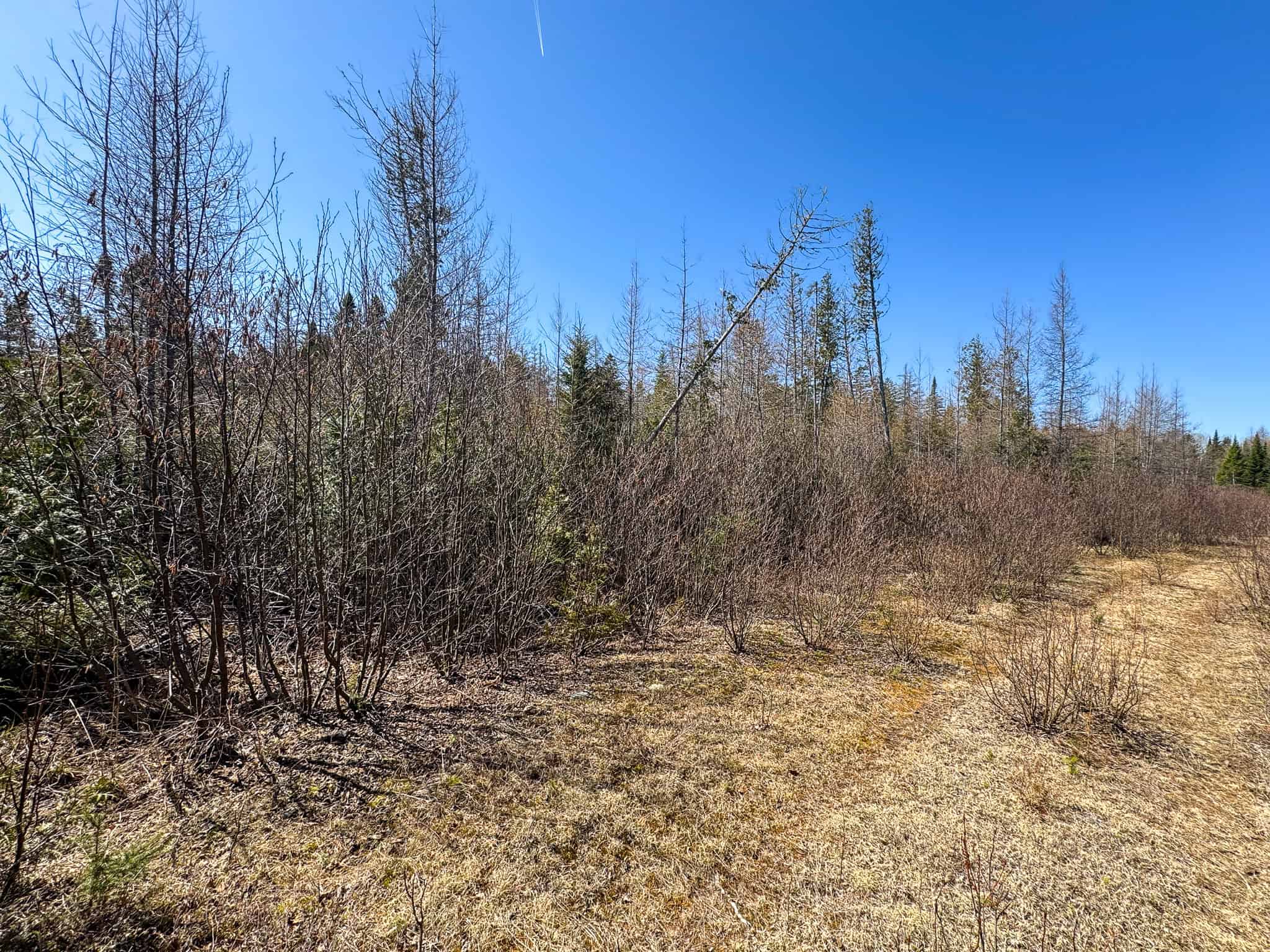 237 Acres of Prime Northern Maine Woods Land