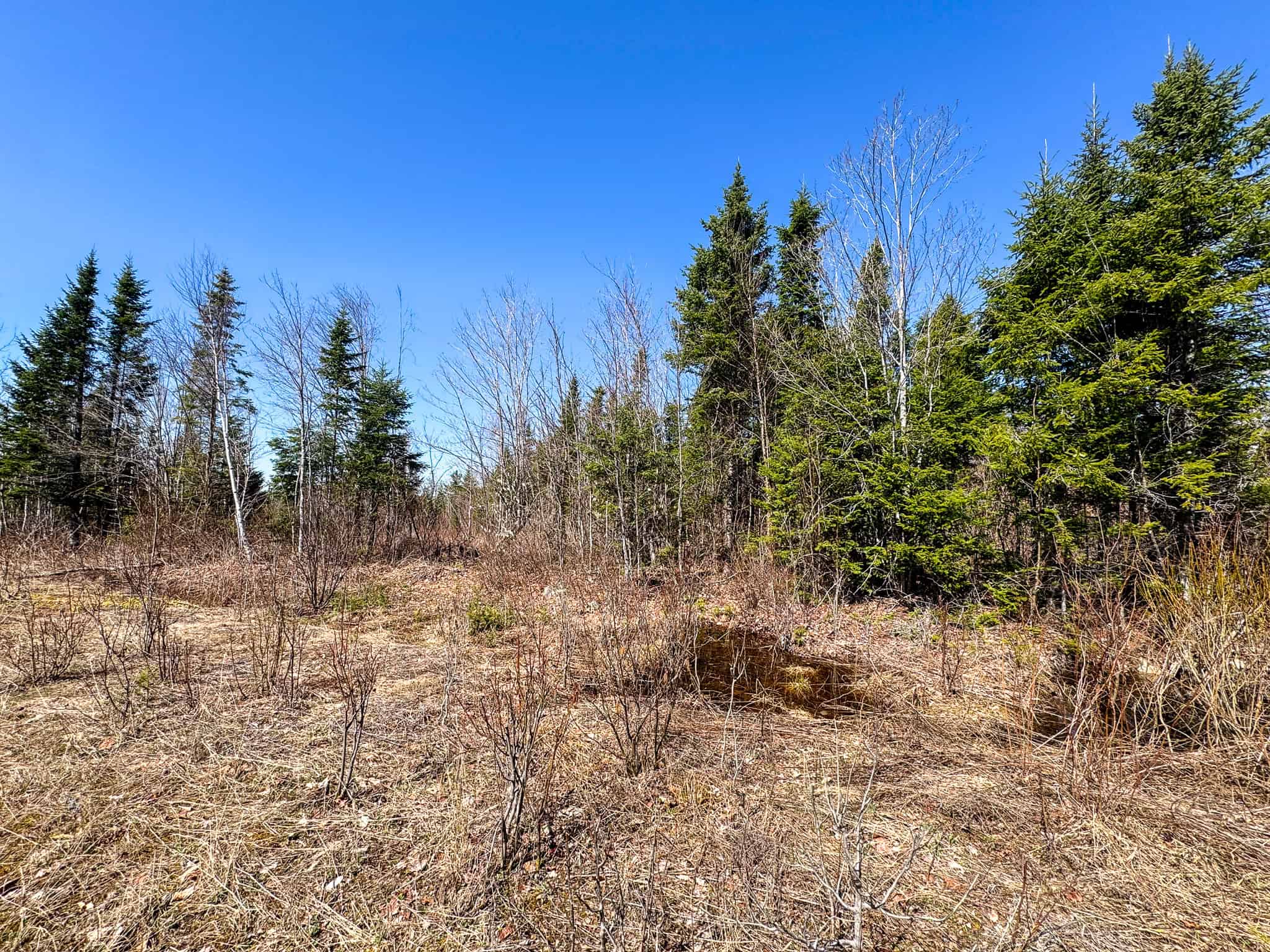 237 Acres of Prime Northern Maine Woods Land