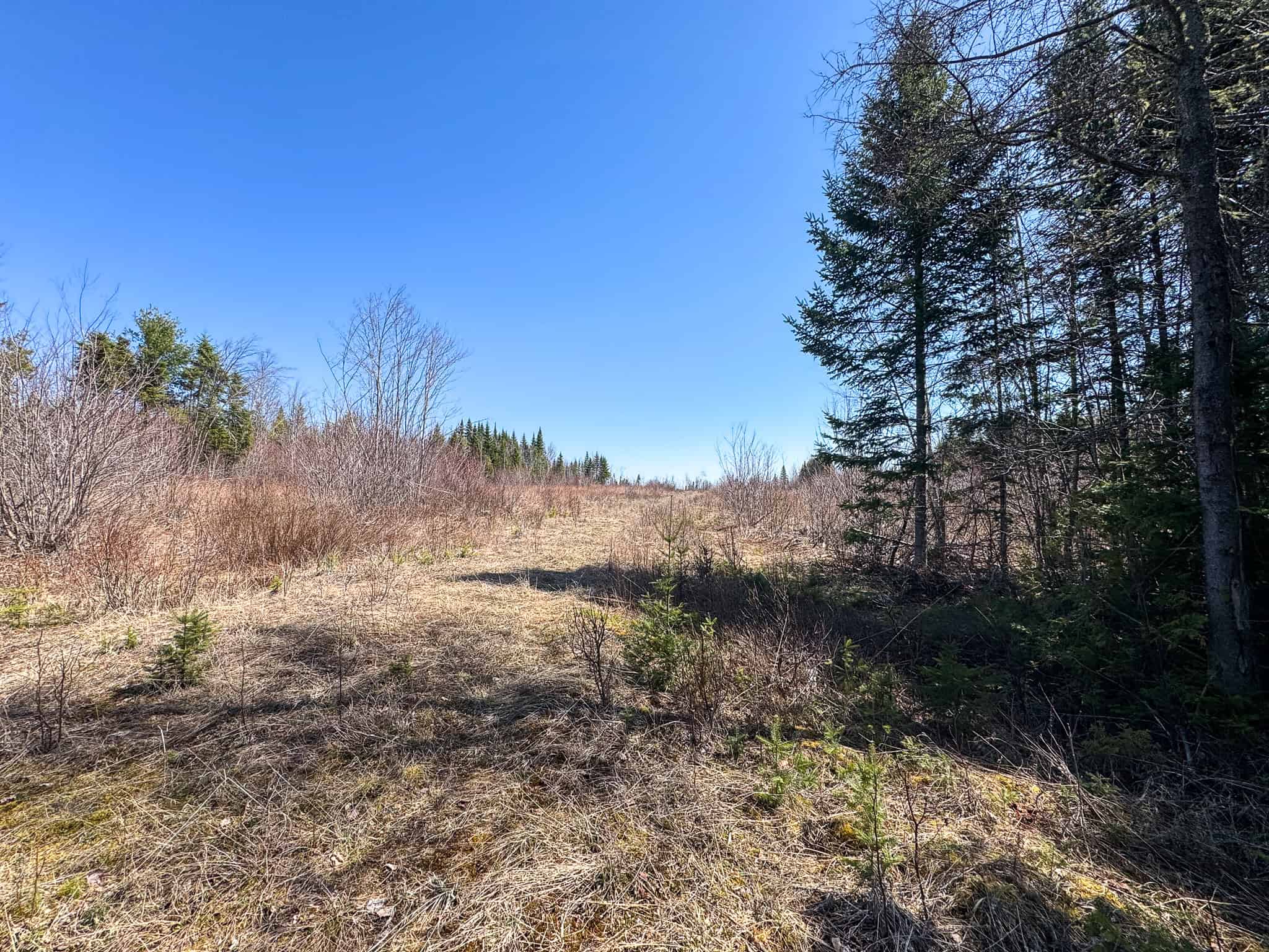 237 Acres of Prime Northern Maine Woods Land