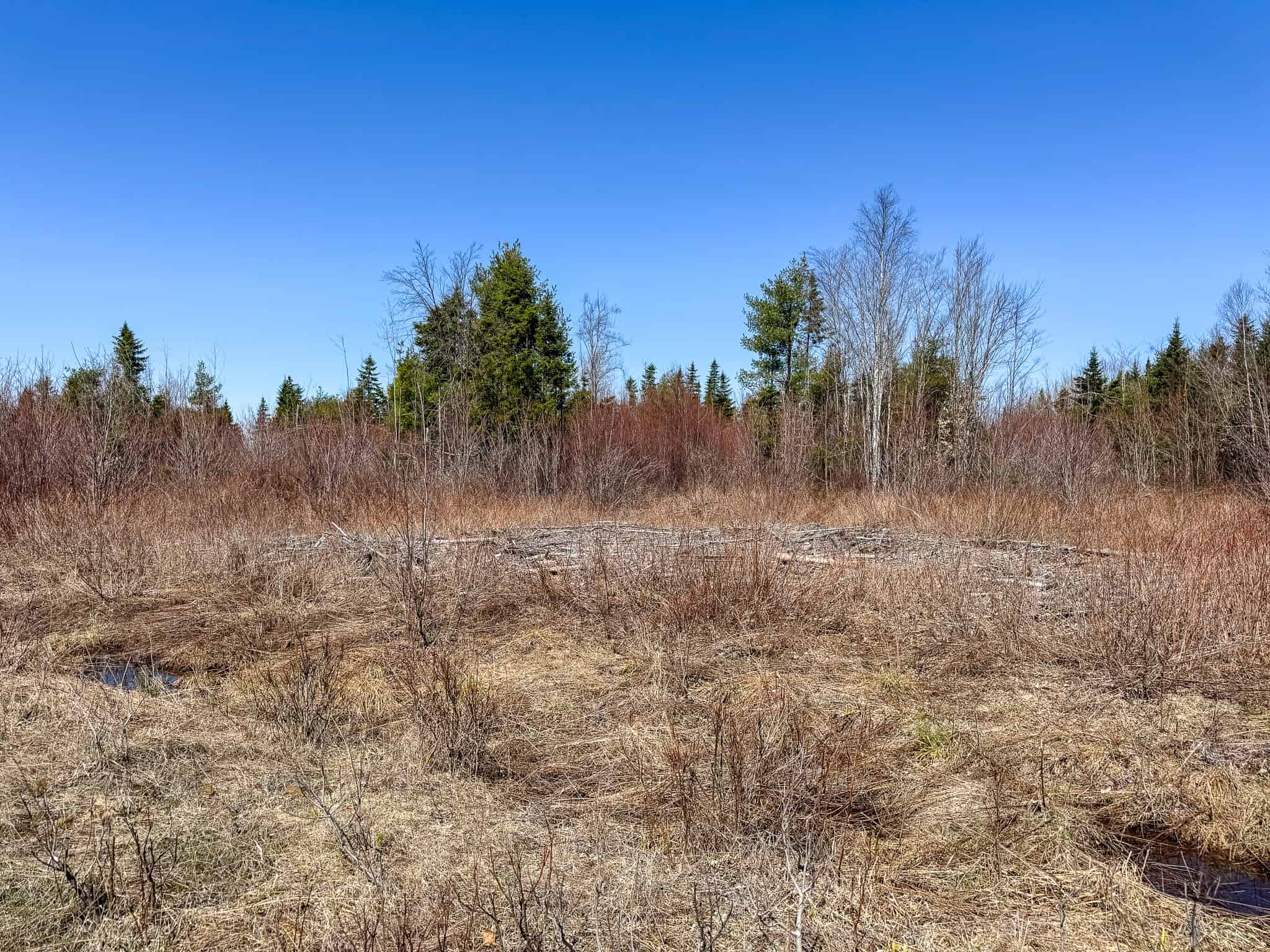 237 Acres of Prime Northern Maine Woods Land