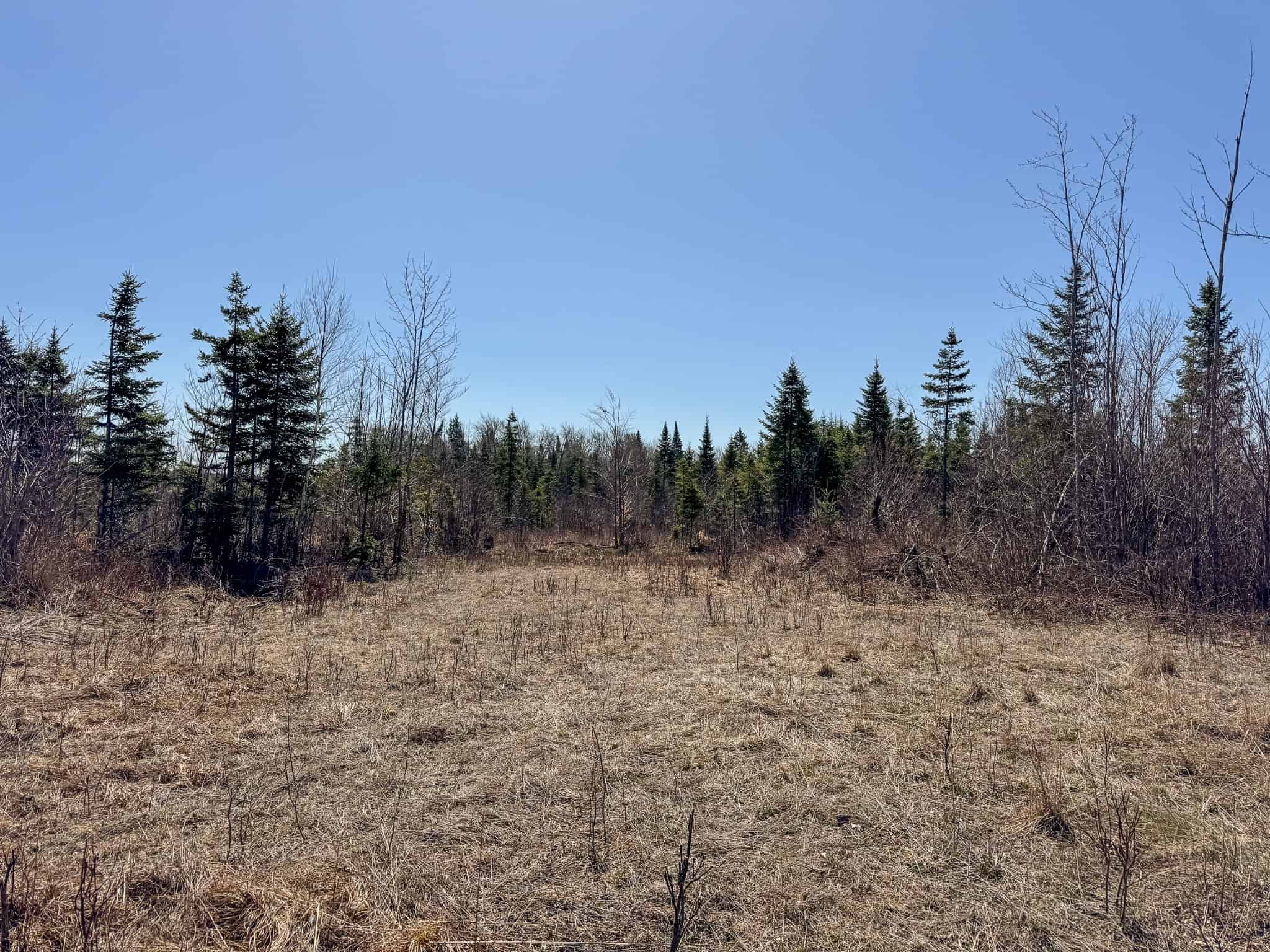237 Acres of Prime Northern Maine Woods Land