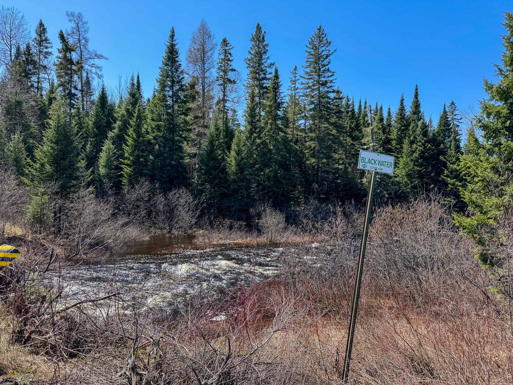 237 Acres of Prime Northern Maine Woods Land