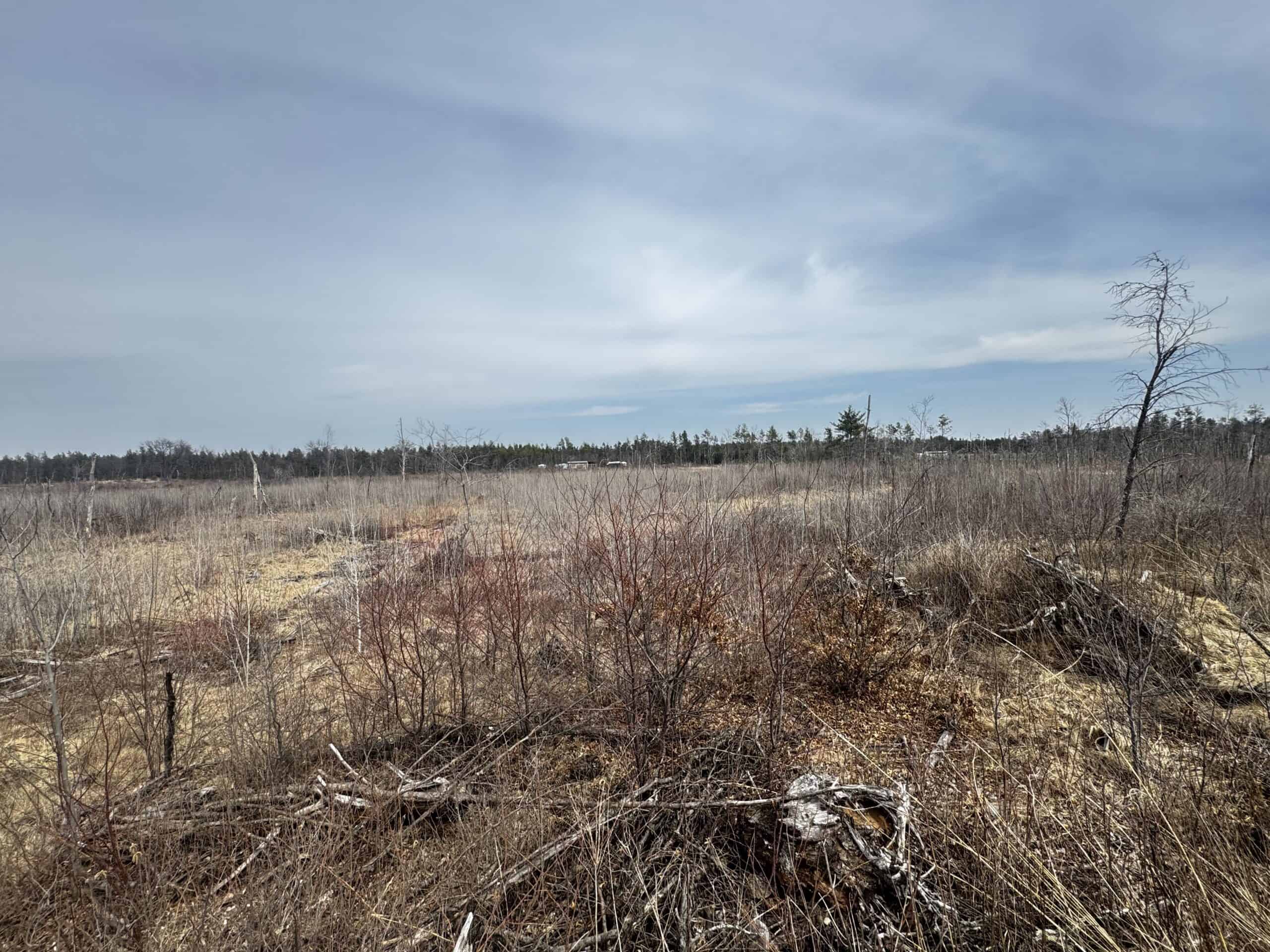 80 Acres of Juneau County Timber Land