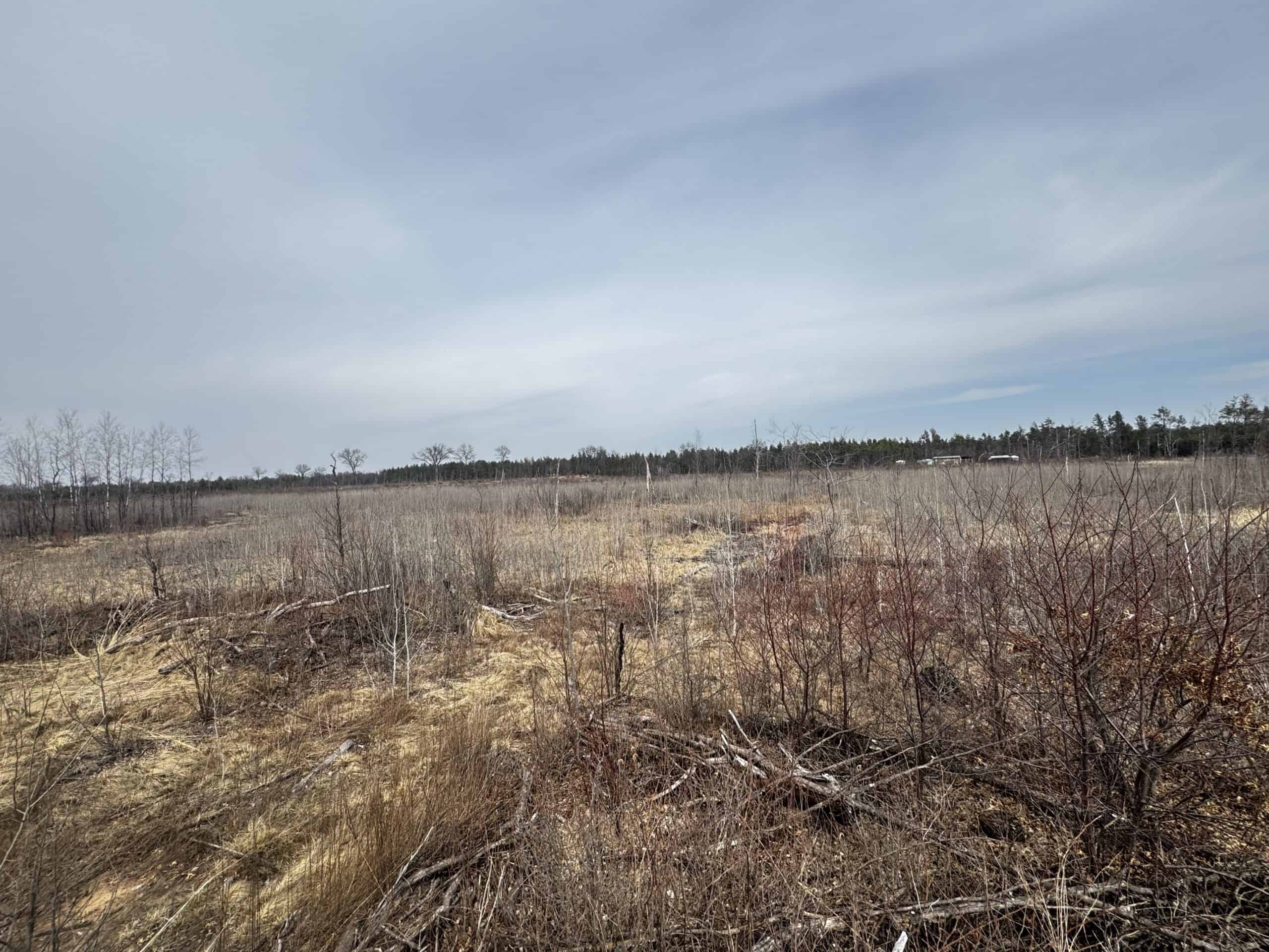 80 Acres of Juneau County Timber Land