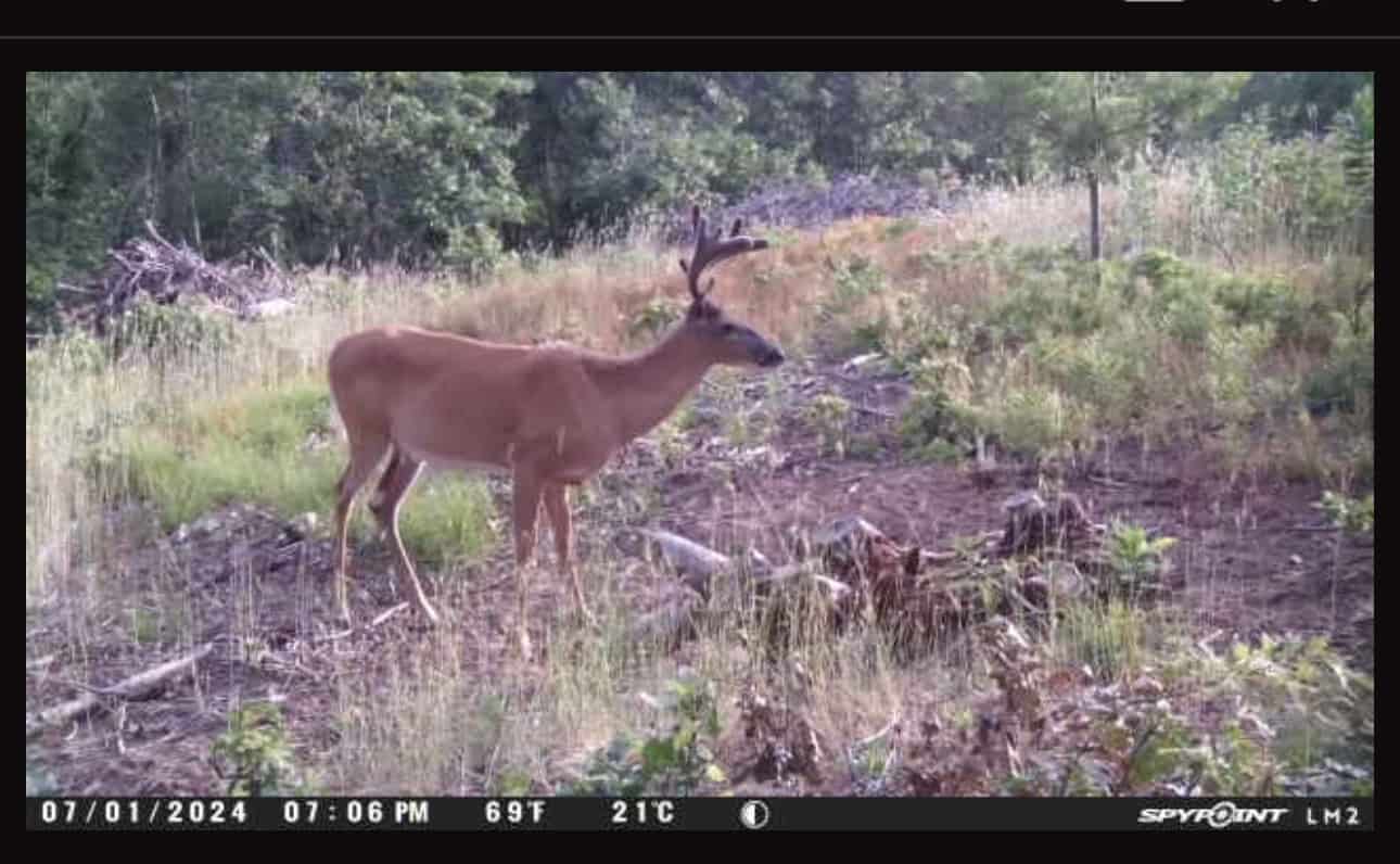 20.41 Acre Sportsman Paradise Juneau County WI