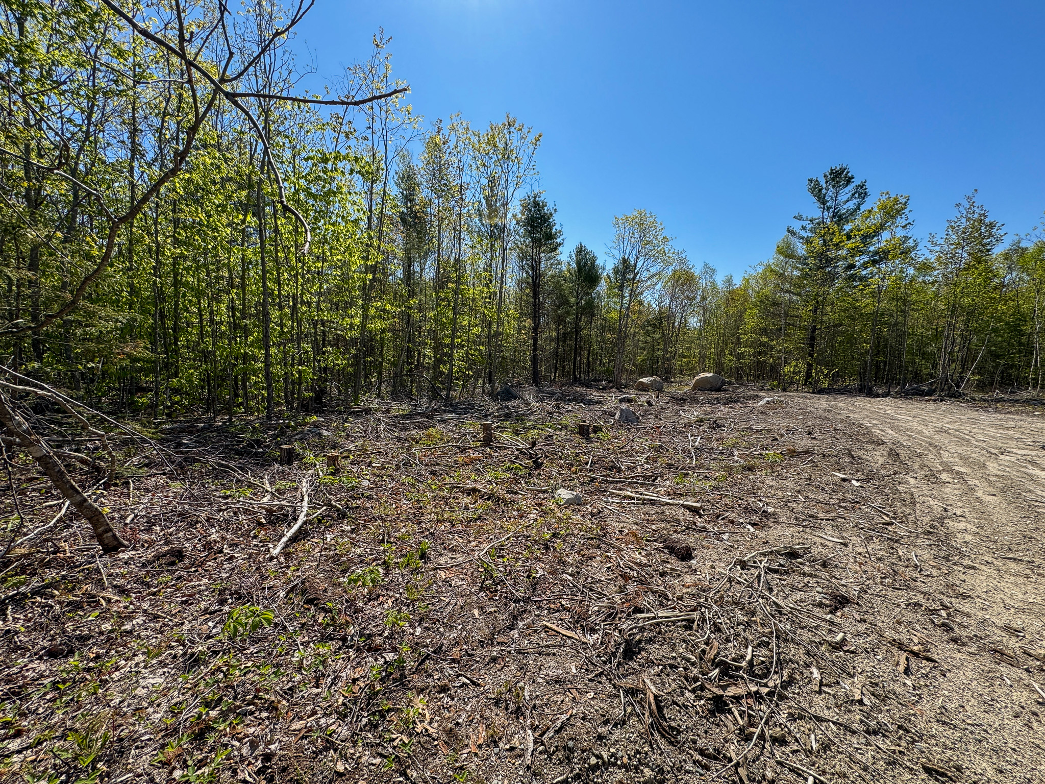 40 Acres of Affordable Maine Land