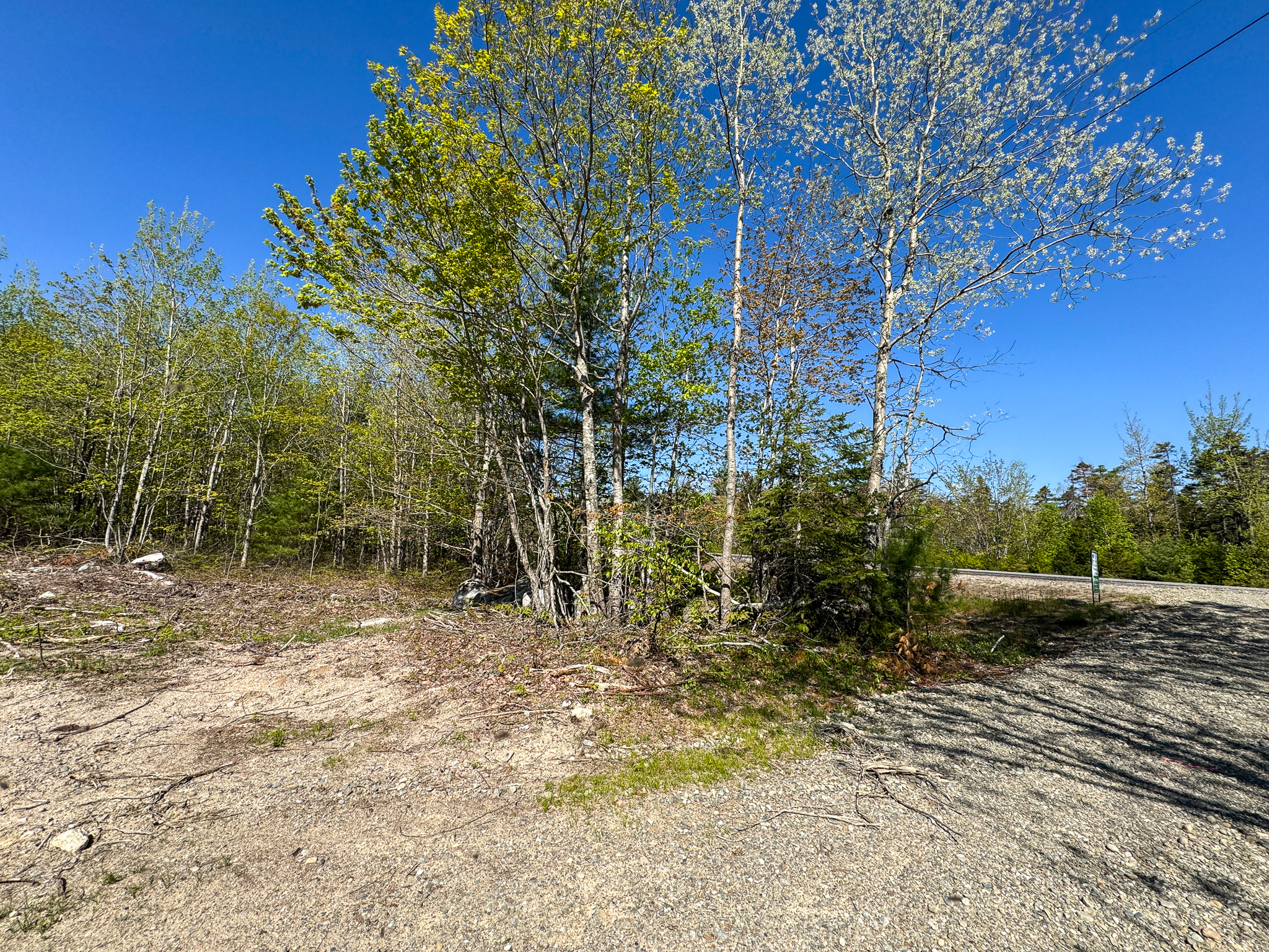 40 Acres of Affordable Maine Land