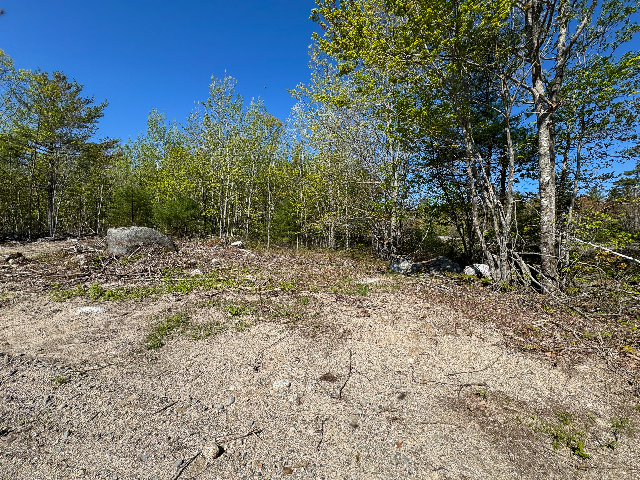 40 Acres of Affordable Maine Land