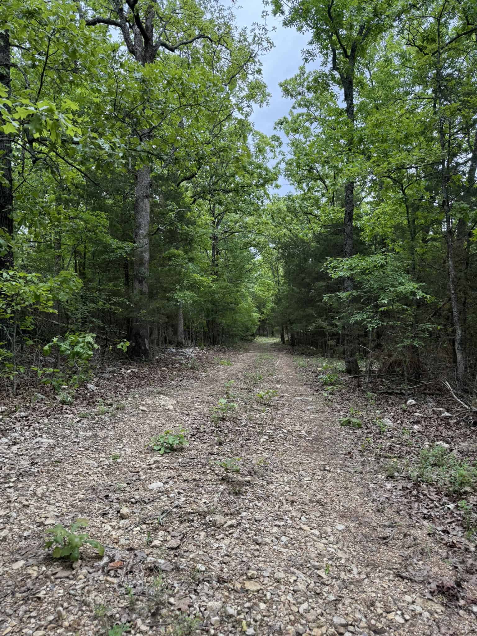 HUNTING AND RECREATIONAL LAND FOR SALE IN NORTH CENTRAL ARKANSAS