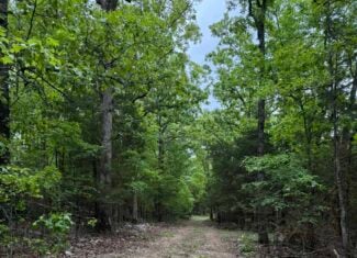 HUNTING AND RECREATIONAL LAND FOR SALE IN NORTH CENTRAL ARKANSAS