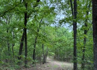 HUNTING AND RECREATIONAL LAND FOR SALE IN NORTH CENTRAL ARKANSAS