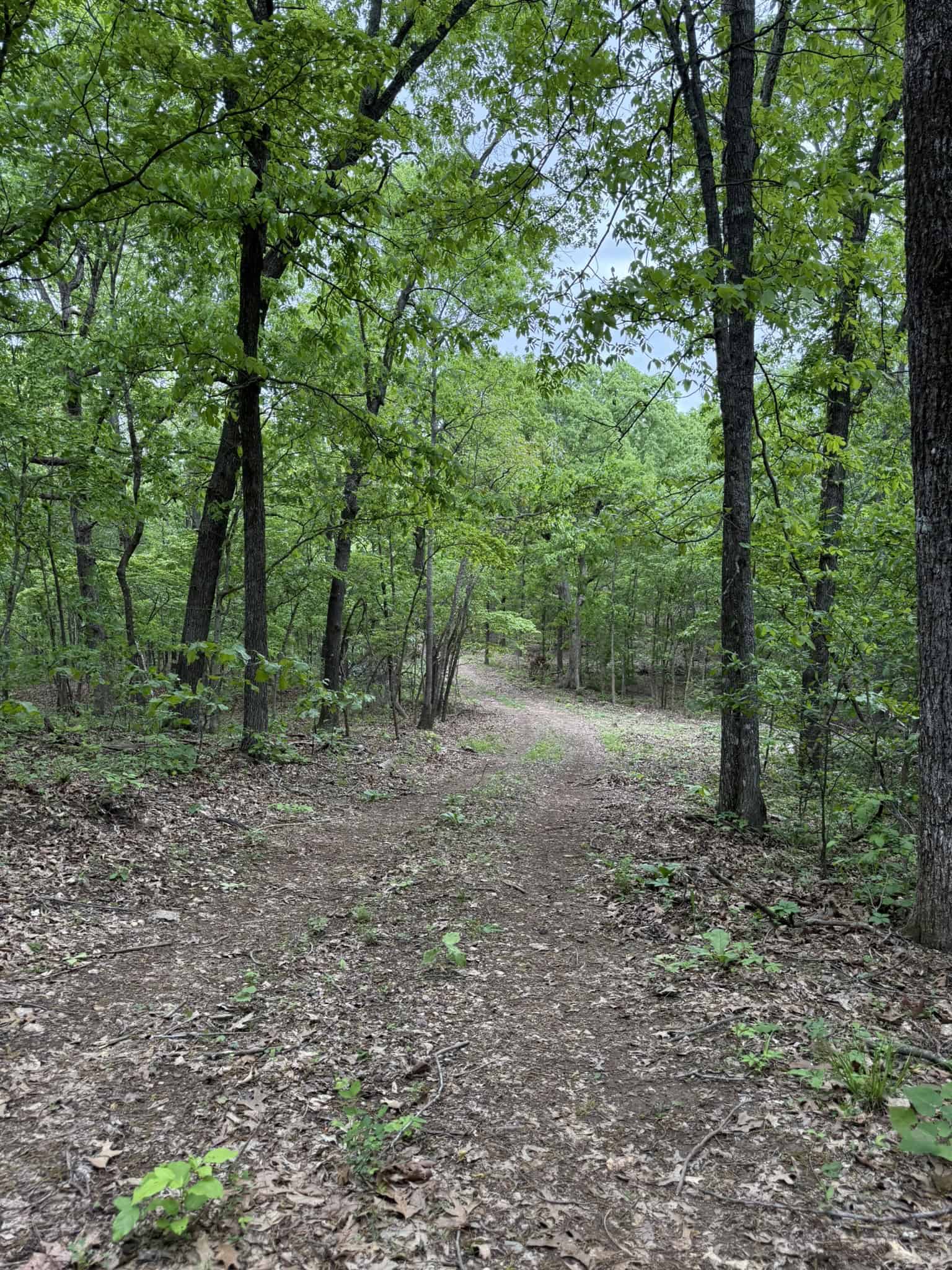 HUNTING AND RECREATIONAL LAND FOR SALE IN NORTH CENTRAL ARKANSAS