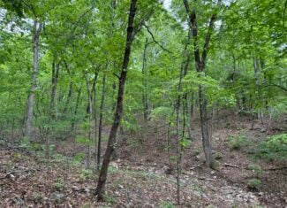 HUNTING AND RECREATIONAL LAND FOR SALE IN NORTH CENTRAL ARKANSAS