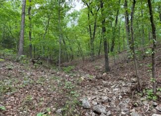 HUNTING AND RECREATIONAL LAND FOR SALE IN NORTH CENTRAL ARKANSAS