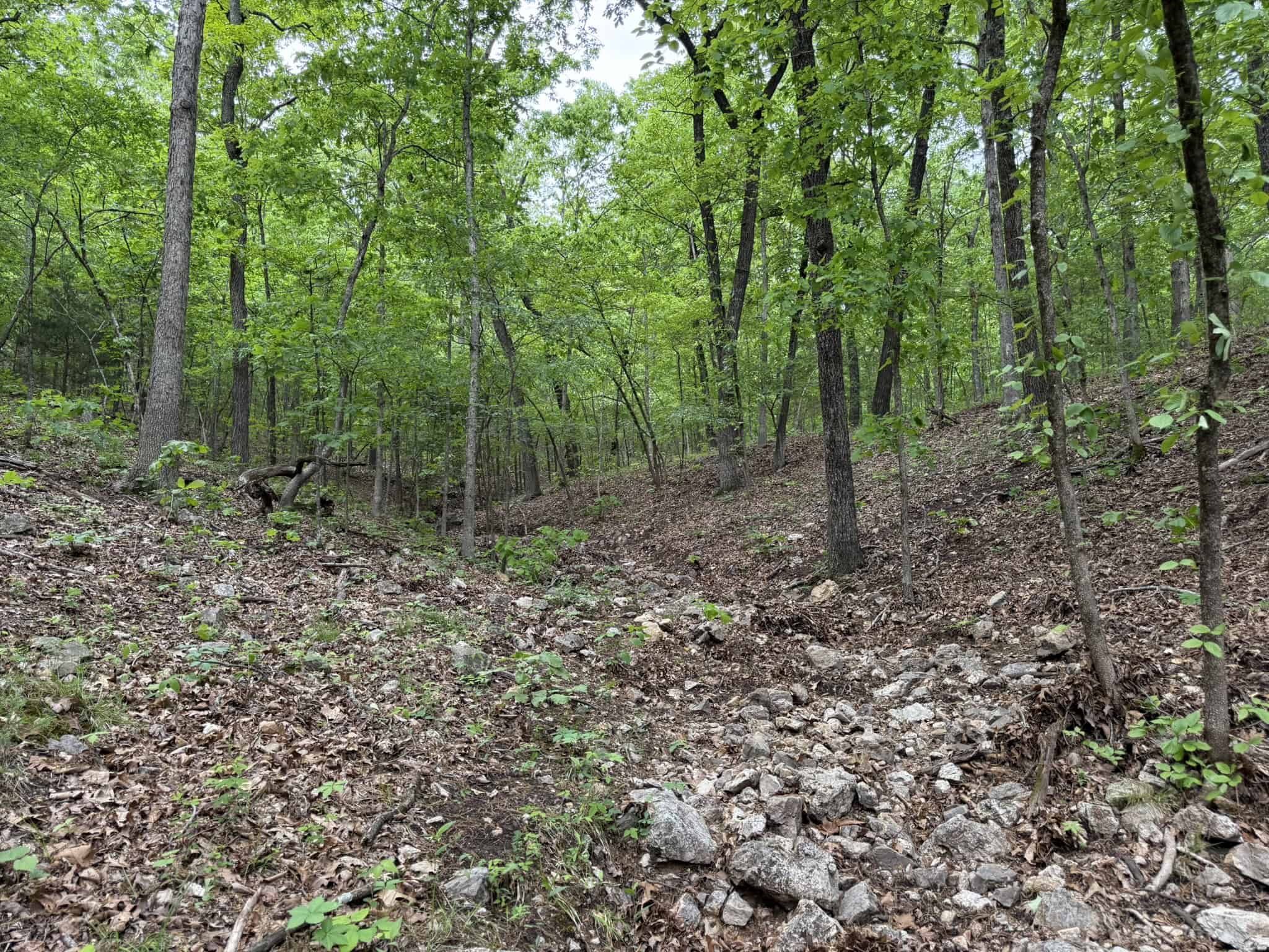 HUNTING AND RECREATIONAL LAND FOR SALE IN NORTH CENTRAL ARKANSAS
