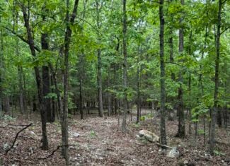 HUNTING AND RECREATIONAL LAND FOR SALE IN NORTH CENTRAL ARKANSAS