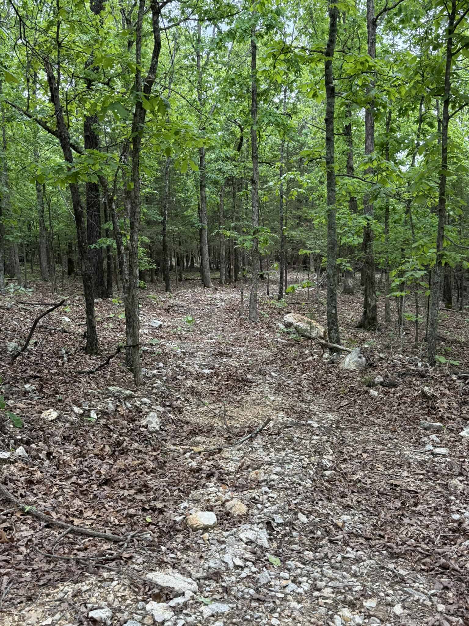 HUNTING AND RECREATIONAL LAND FOR SALE IN NORTH CENTRAL ARKANSAS