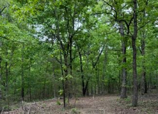 HUNTING AND RECREATIONAL LAND FOR SALE IN NORTH CENTRAL ARKANSAS