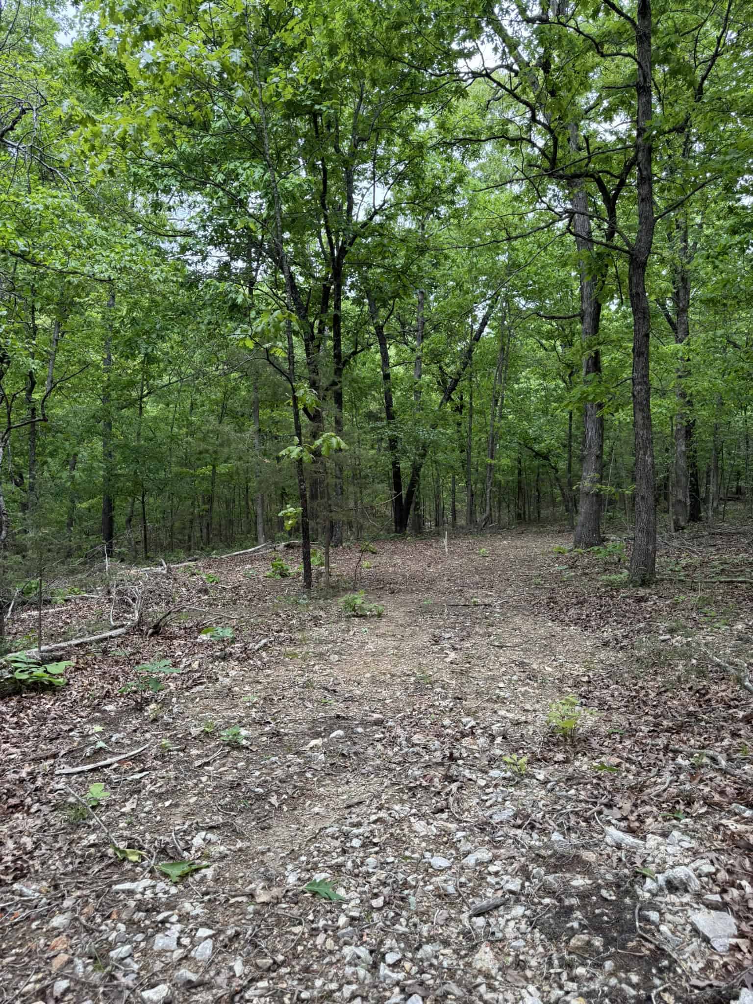HUNTING AND RECREATIONAL LAND FOR SALE IN NORTH CENTRAL ARKANSAS