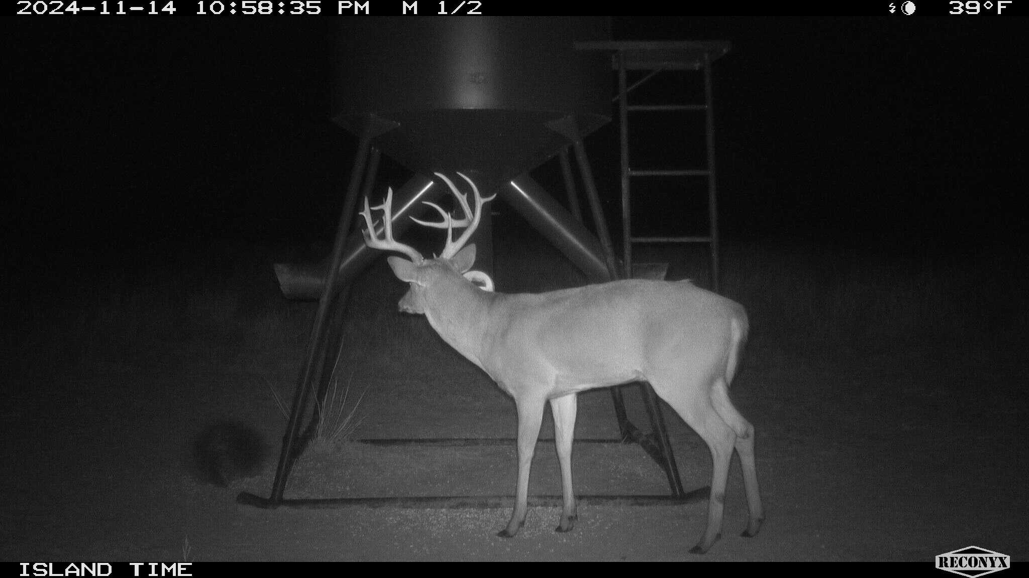 315± Acres | Barber County, KS | Trophy Whitetail Hunting | Red Hills Views