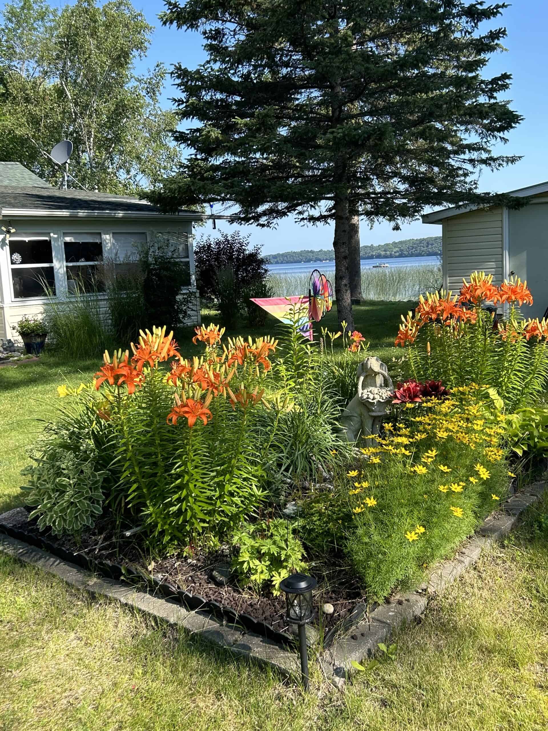 MN Lakefront Cabin and Land Auction