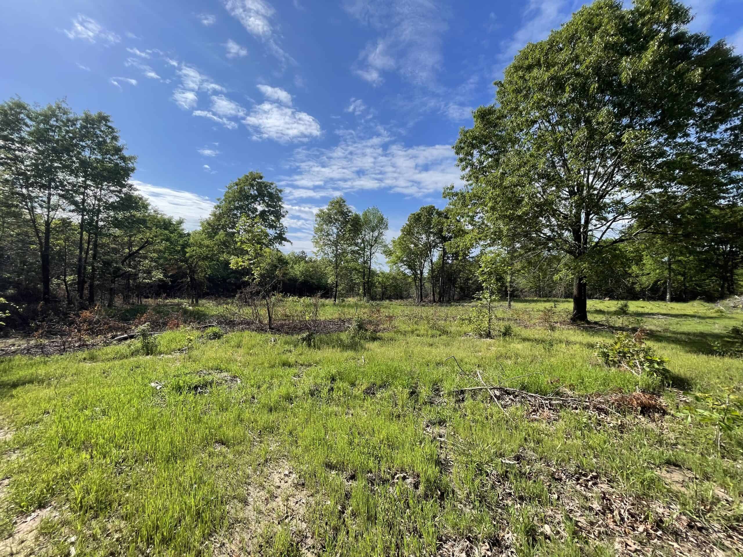 120 Acre Sportsman Paradise Choctaw County OK