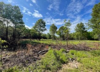 120 Acre Sportsman Paradise Choctaw County OK