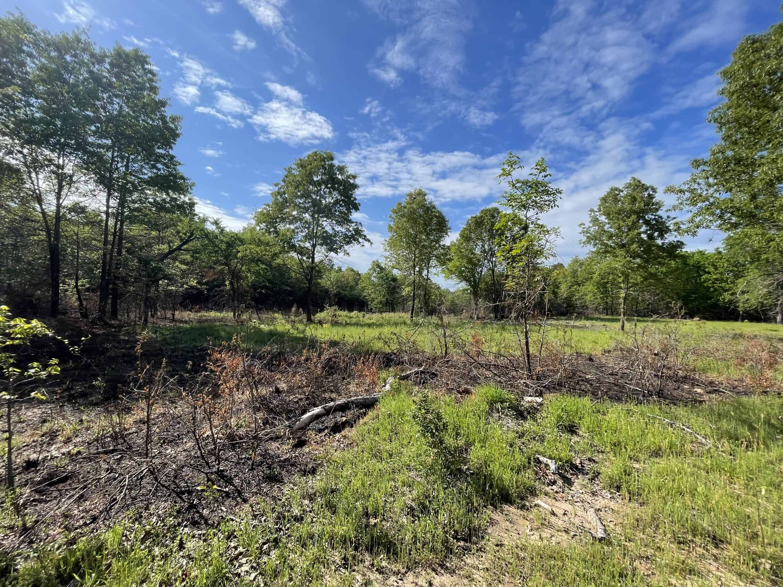 120 Acre Sportsman Paradise Choctaw County OK
