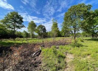 120 Acre Sportsman Paradise Choctaw County OK