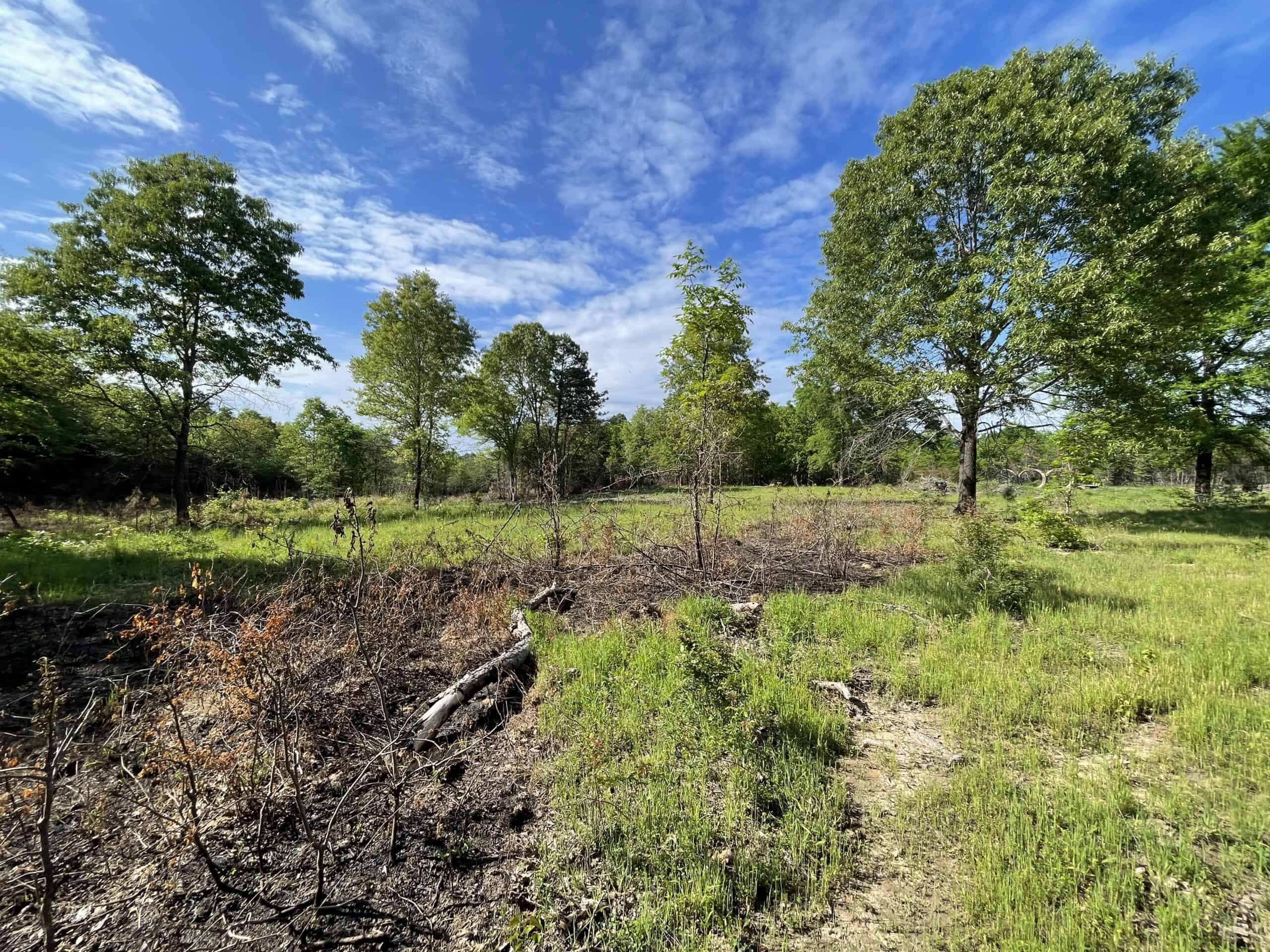 120 Acre Sportsman Paradise Choctaw County OK