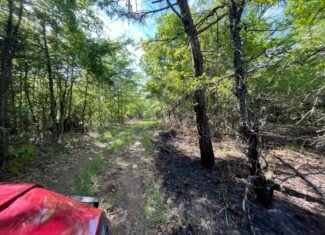 120 Acre Sportsman Paradise Choctaw County OK