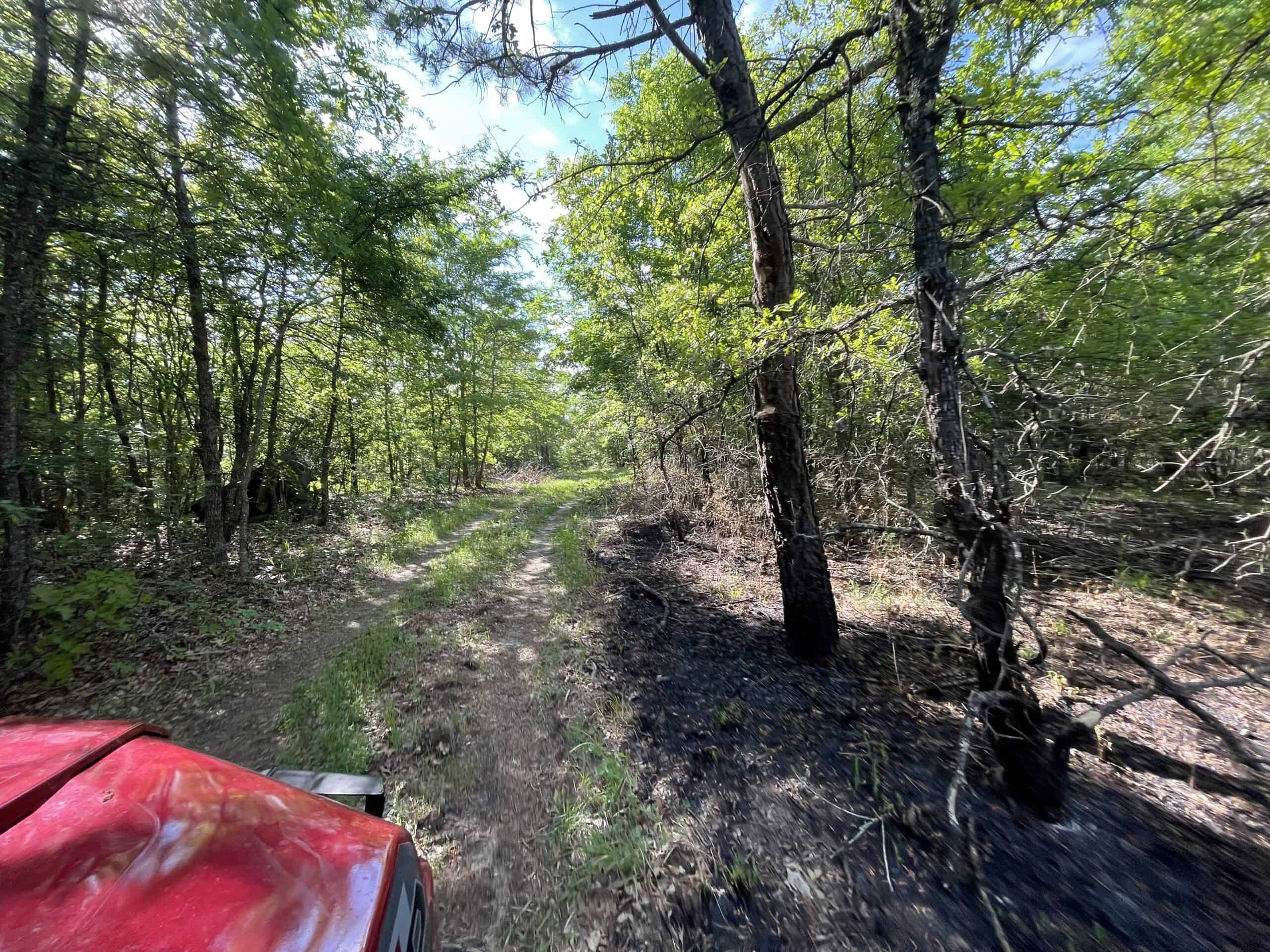 120 Acre Sportsman Paradise Choctaw County OK