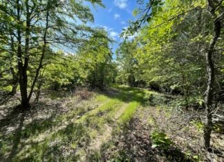 120 Acre Sportsman Paradise Choctaw County OK