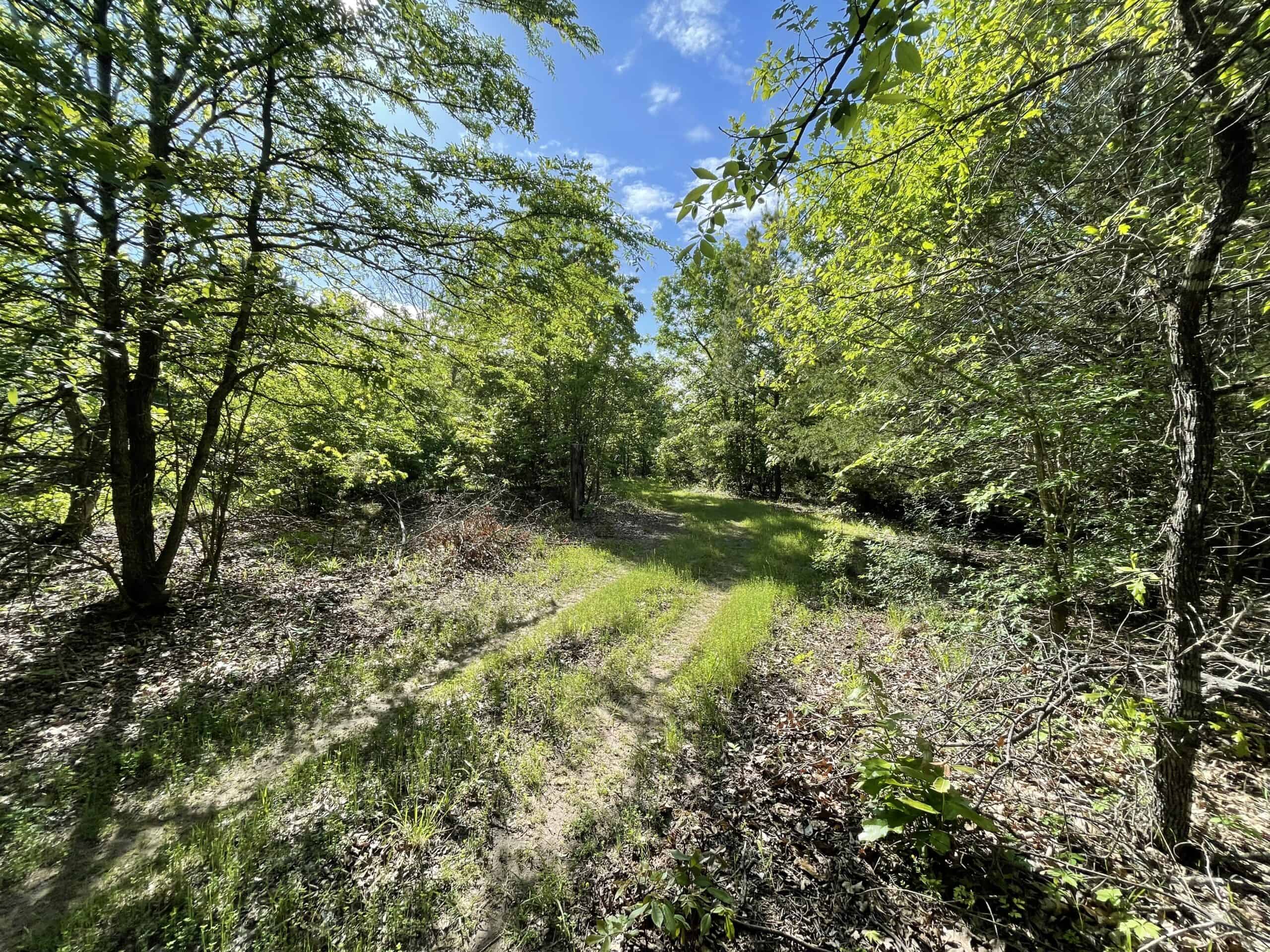 120 Acre Sportsman Paradise Choctaw County OK