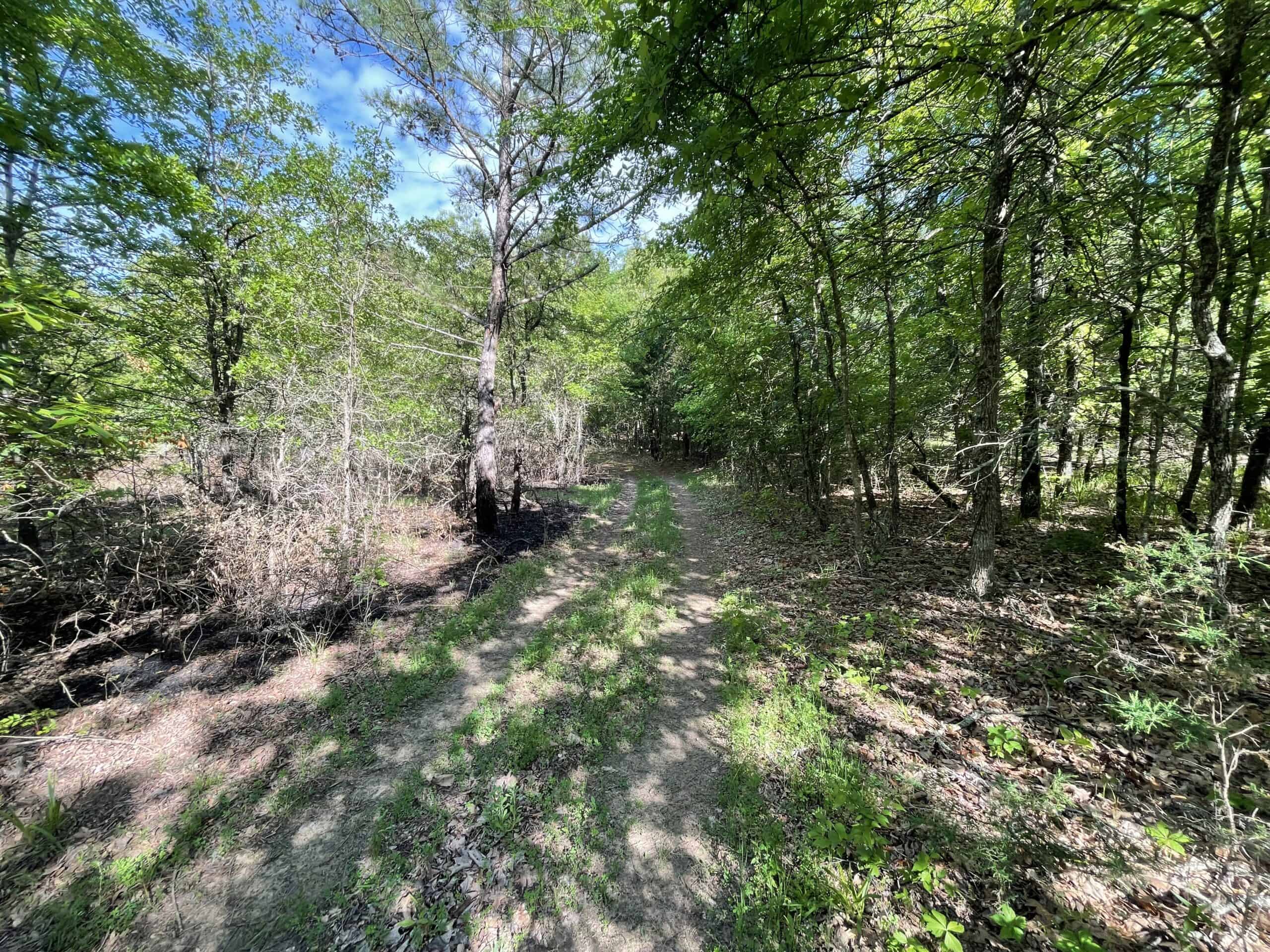 120 Acre Sportsman Paradise Choctaw County OK