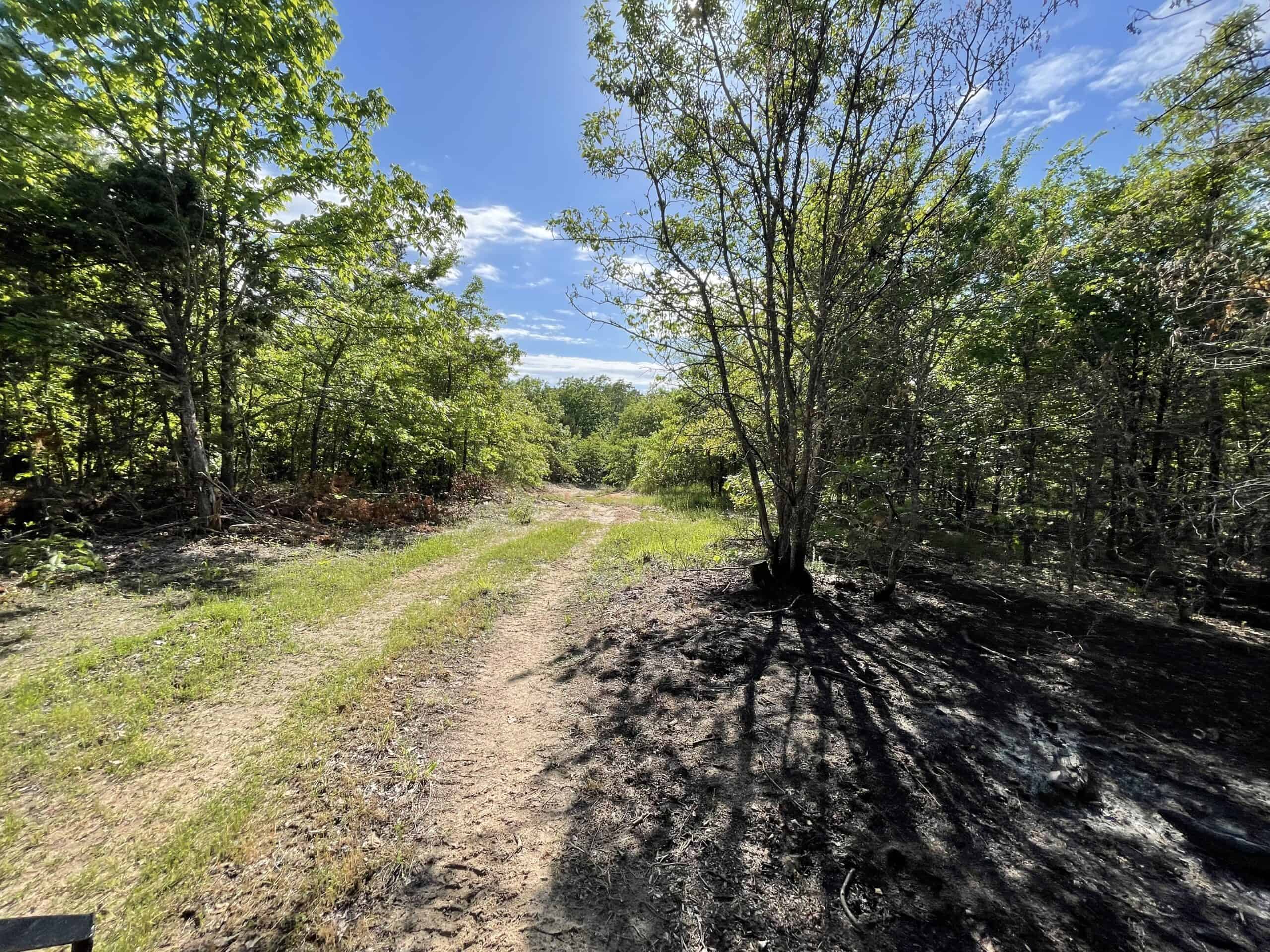 120 Acre Sportsman Paradise Choctaw County OK