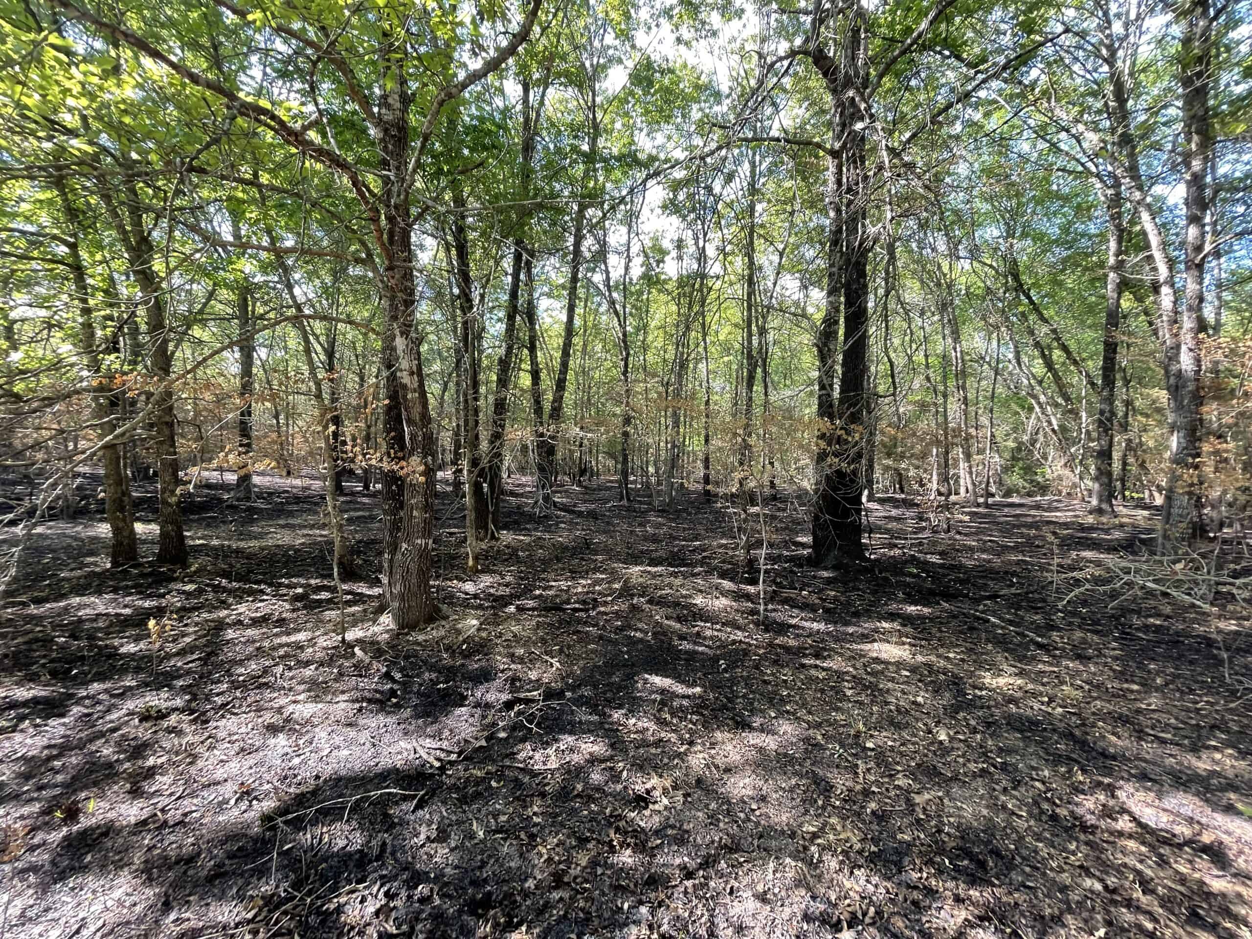 120 Acre Sportsman Paradise Choctaw County OK