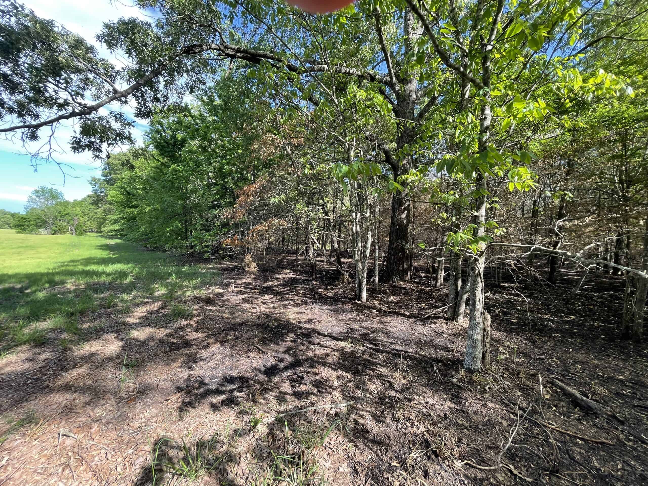 120 Acre Sportsman Paradise Choctaw County OK