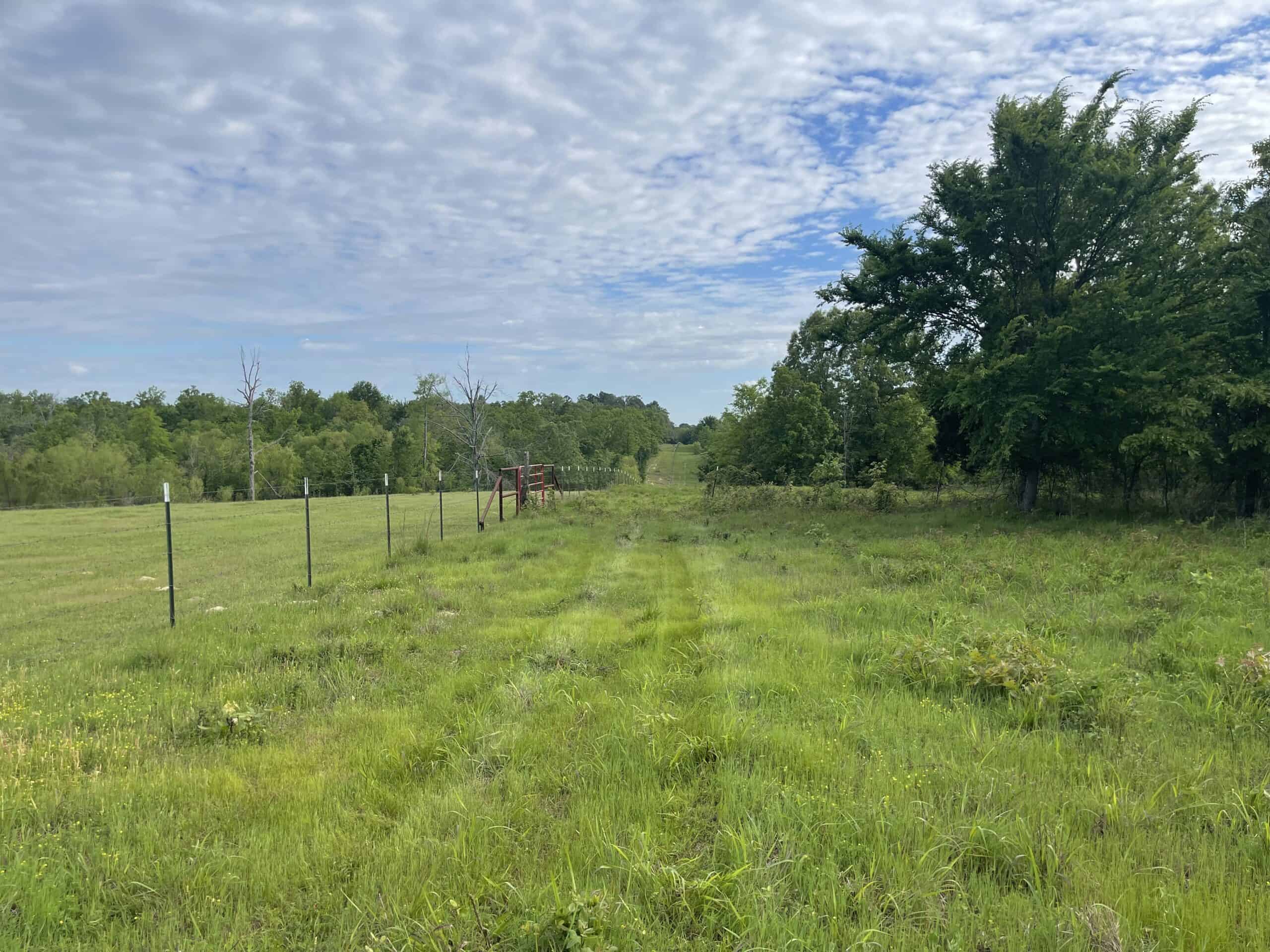 120 Acre Sportsman Paradise Choctaw County OK