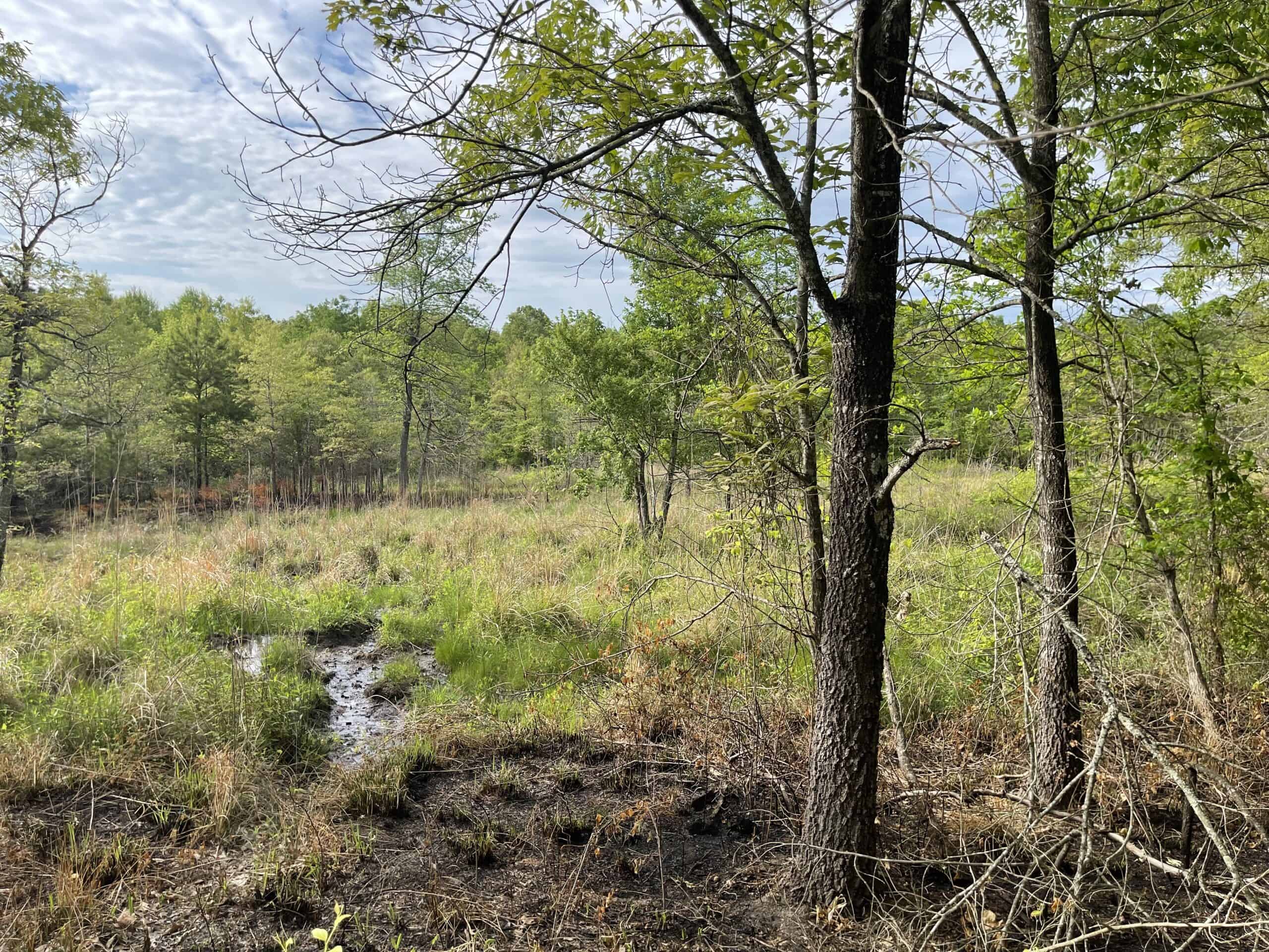 120 Acre Sportsman Paradise Choctaw County OK